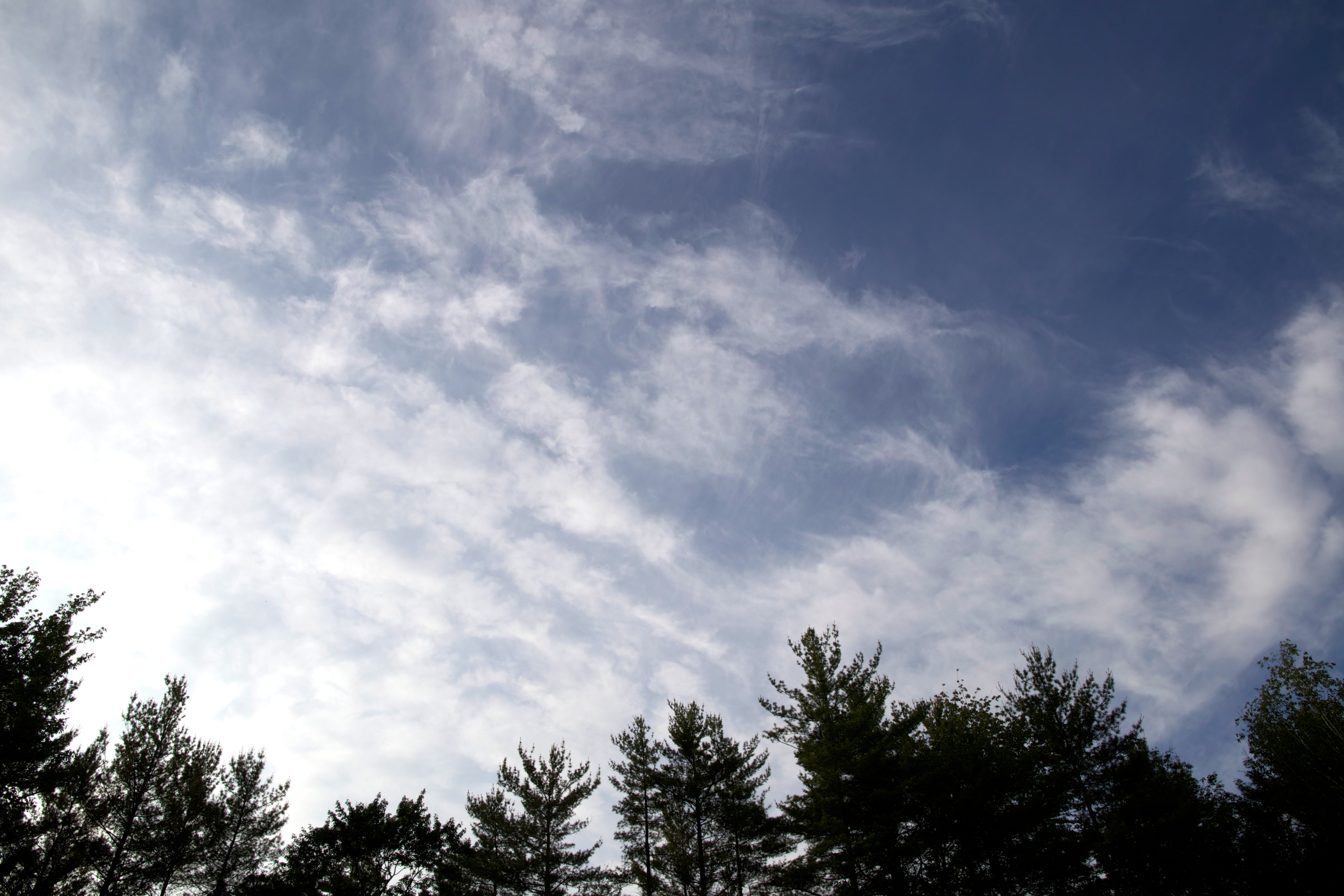 clouds, sky, nature, blue, tree, outdoors, cloud - Sky, weather