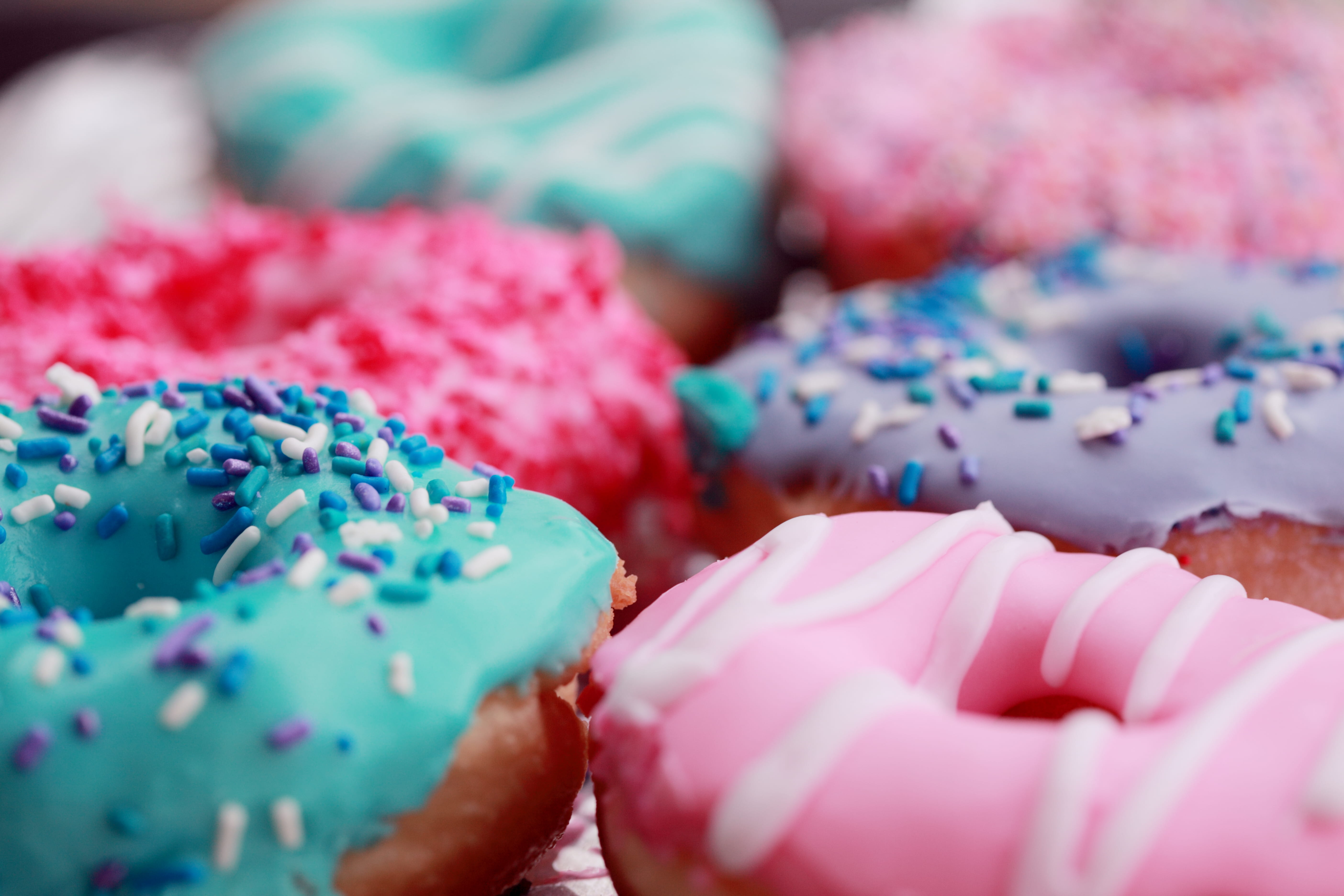 shallow focus photography of assorted doughnuts with sprinkles, variety of doughnuts