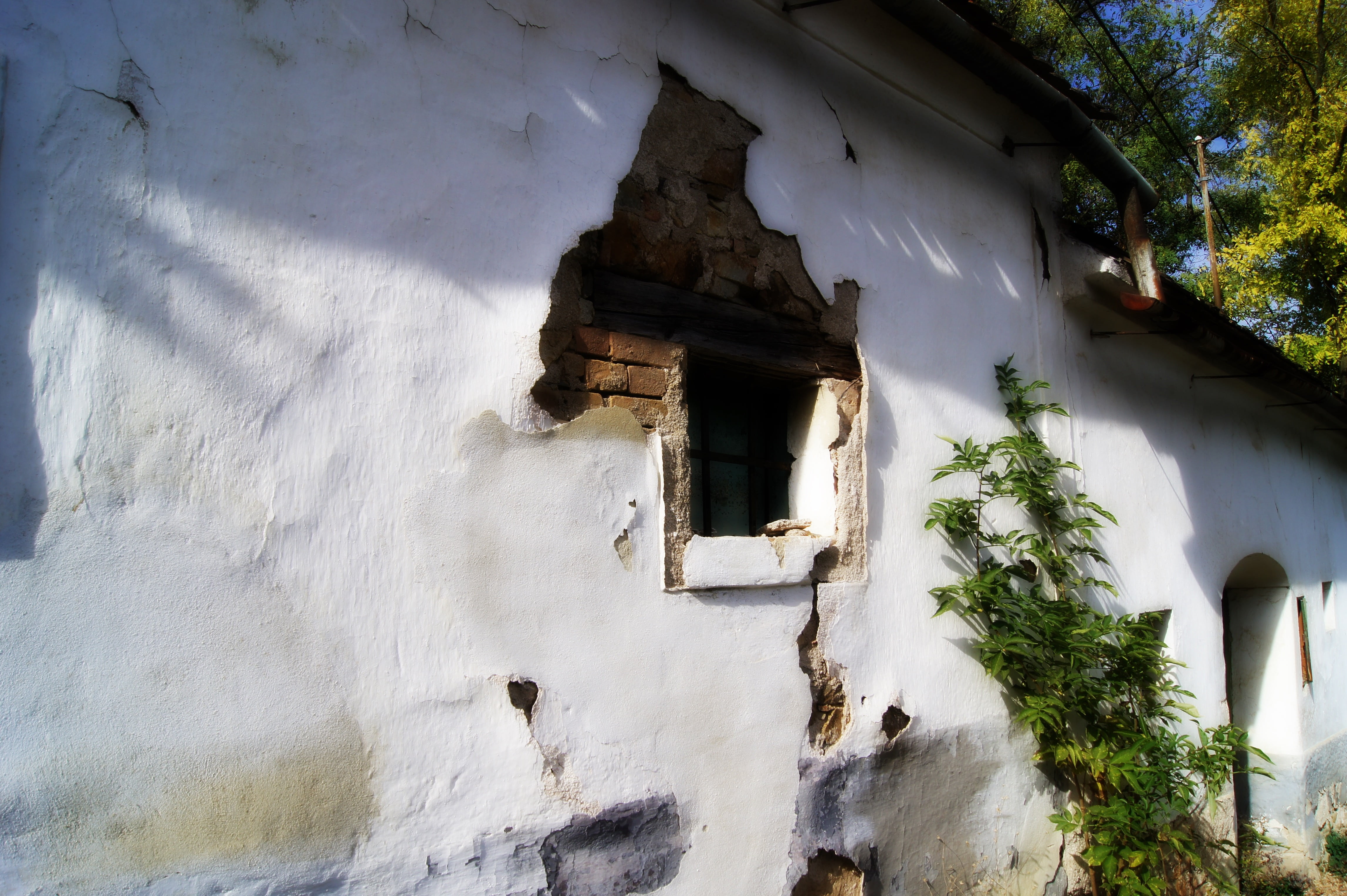 old house, window, wall, building, facade, white, built structure