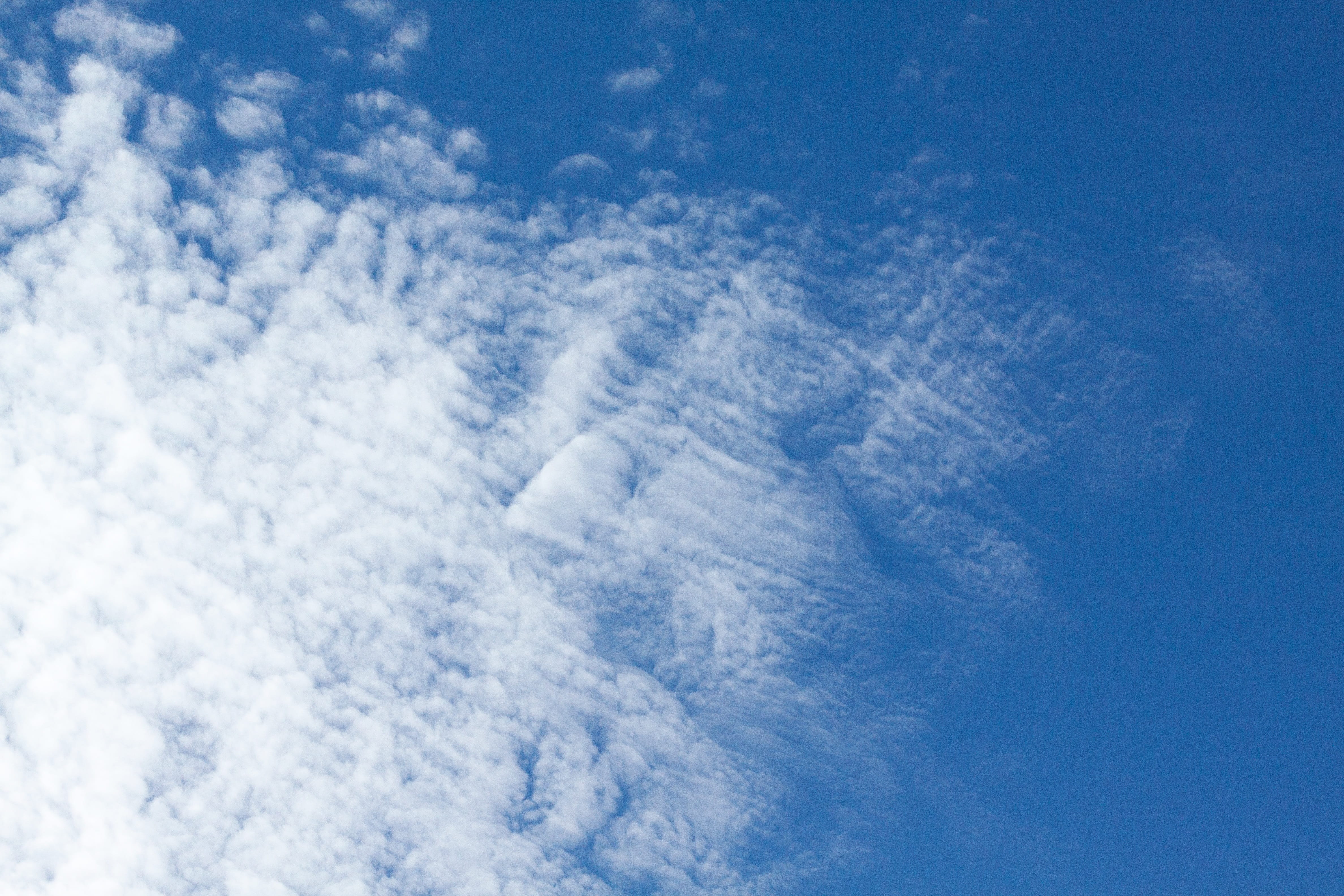 Clouds, White, Sky, Sky, Blue Sky, cloud formation, cloud - sky
