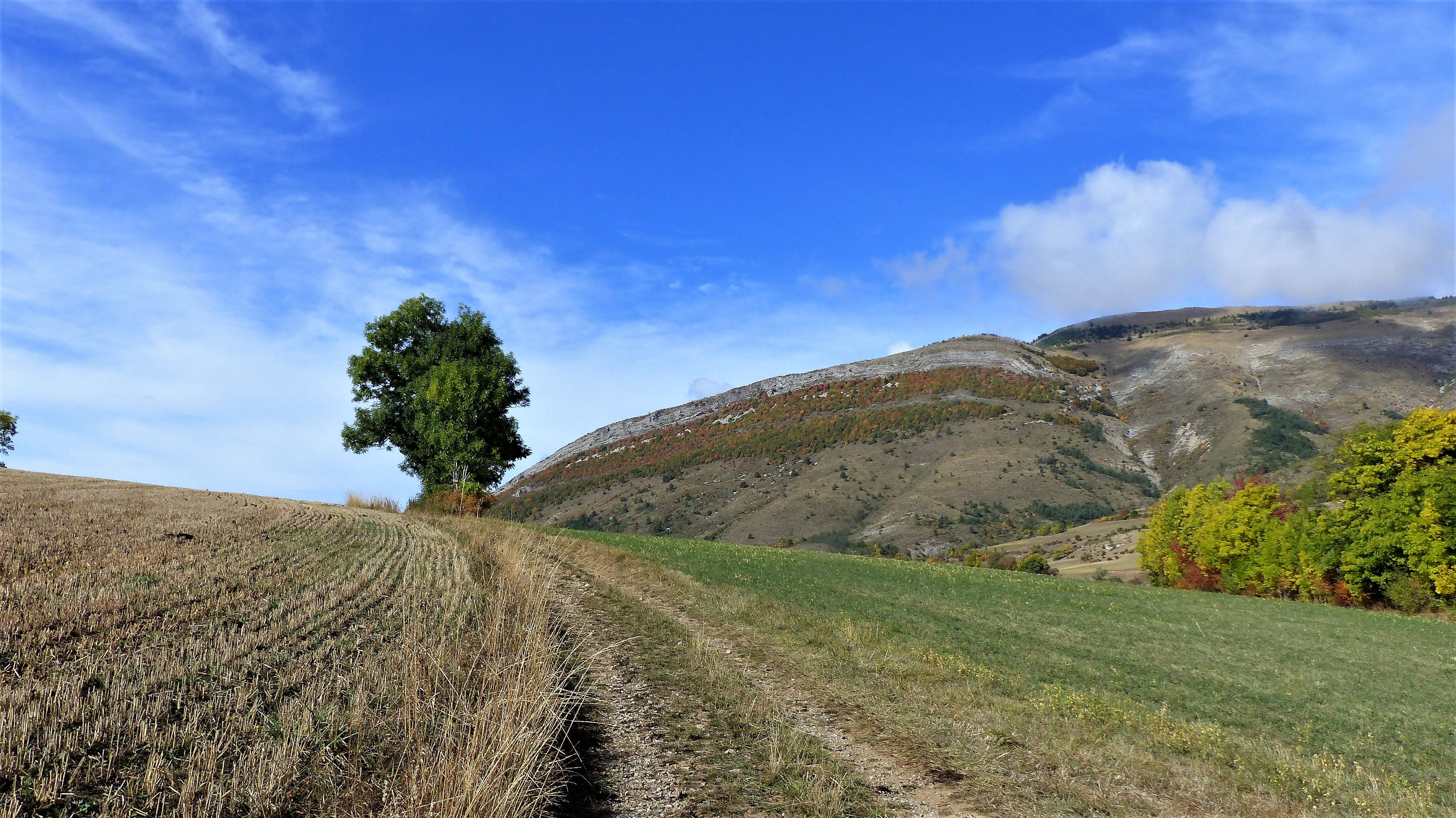 landscape, fields, fall, nature, trees, mountain, sky, pre