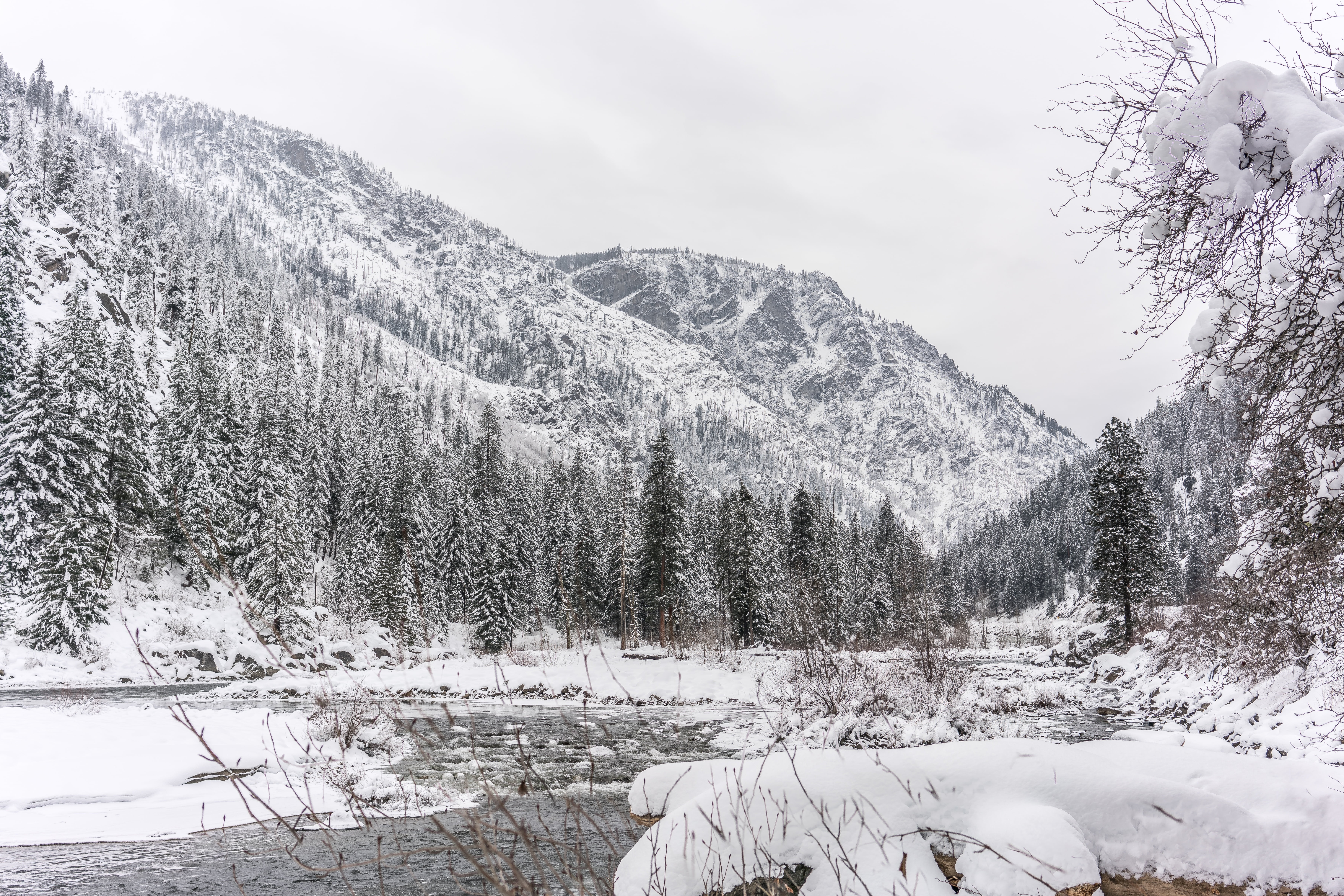 winter, tree, river, snow, cold temperature, mountain, plant