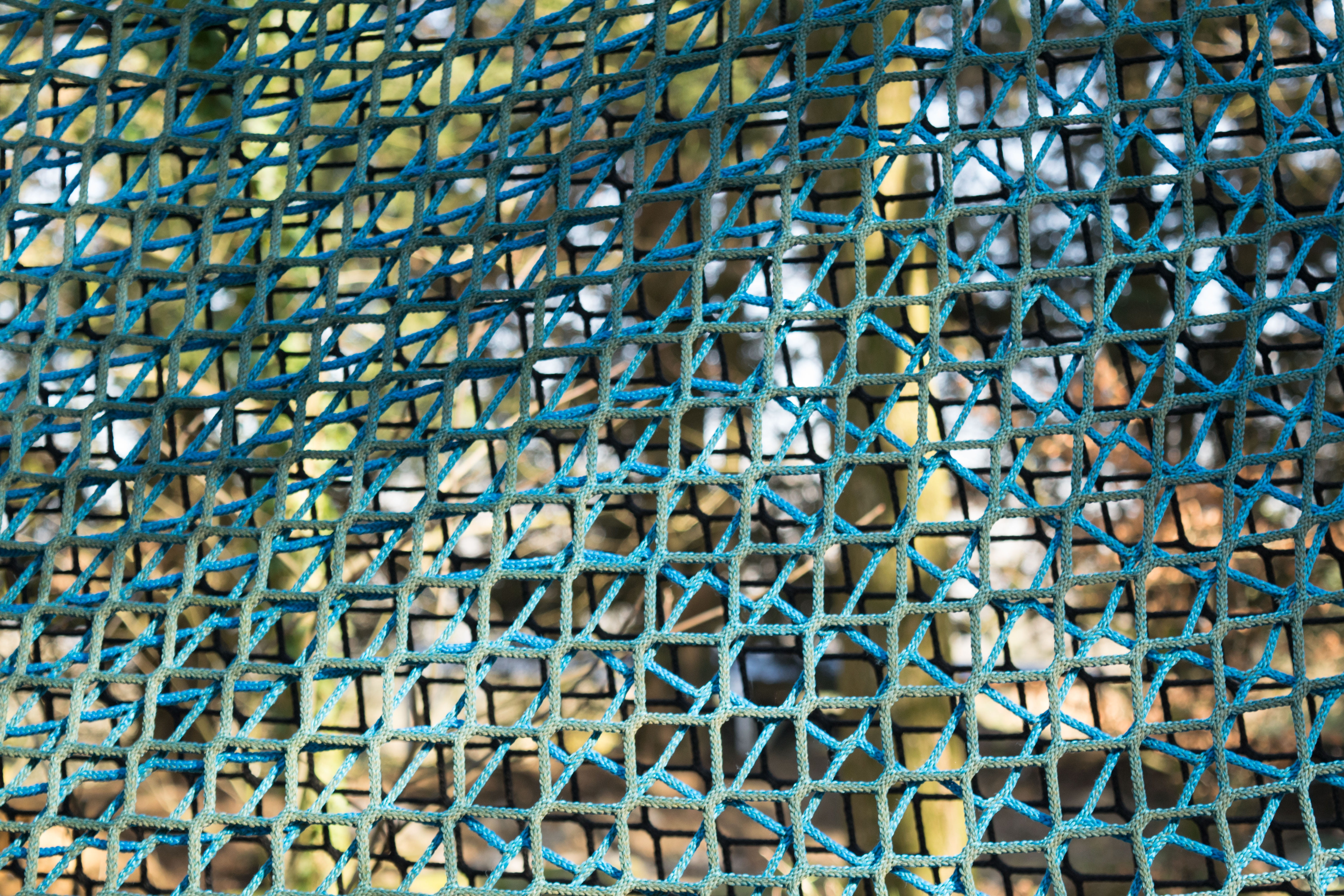 fence, string, grid, rope, nature, park, plants, trees, texture