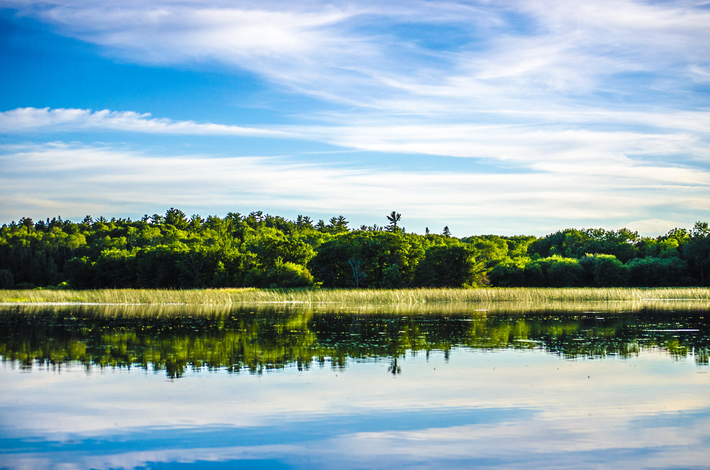 clouds, daylight, forest, grass, green, idyllic, landscape