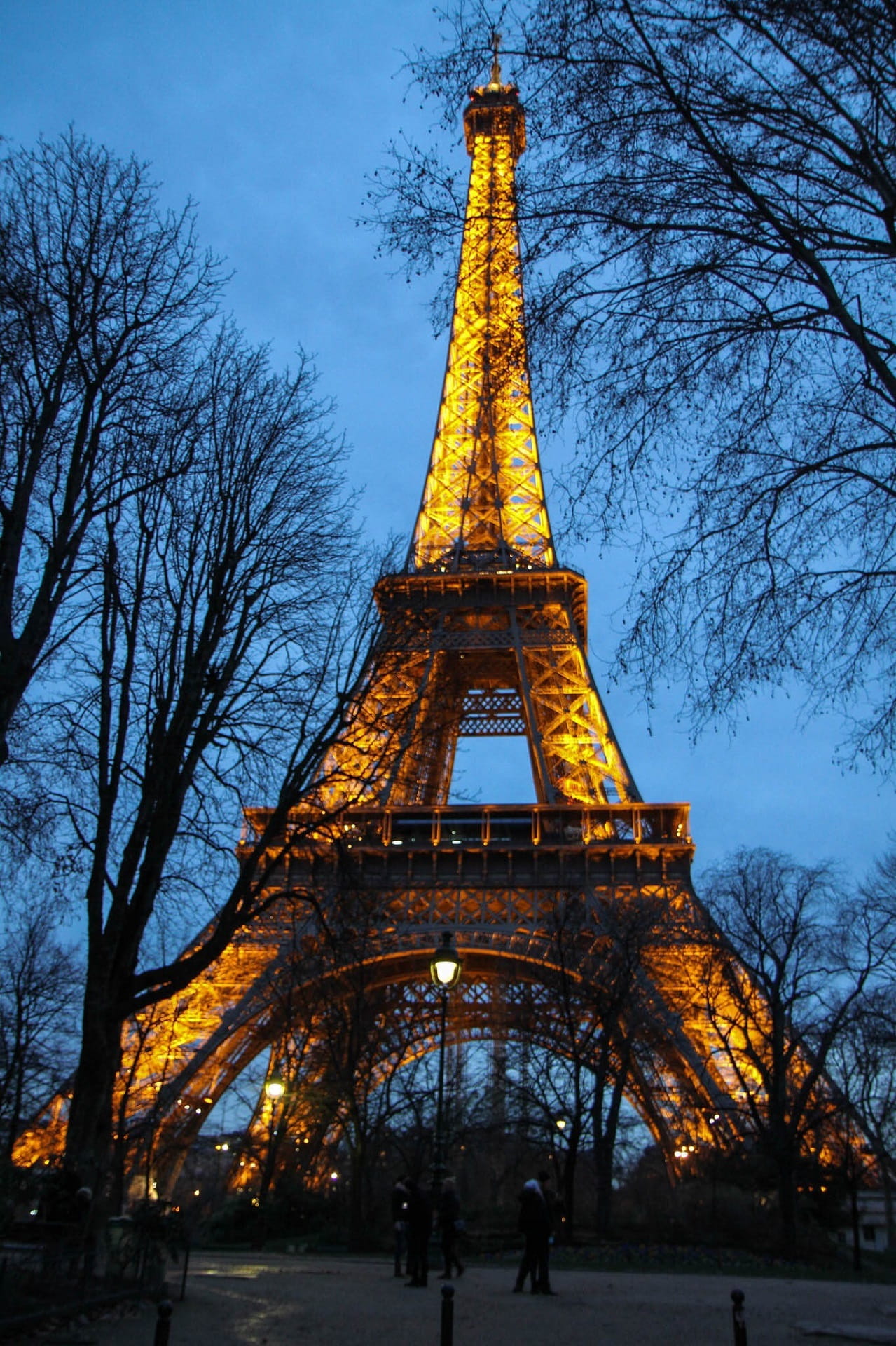 Eiffel Tower, Trees, Branches, Evening, illuminated, lights