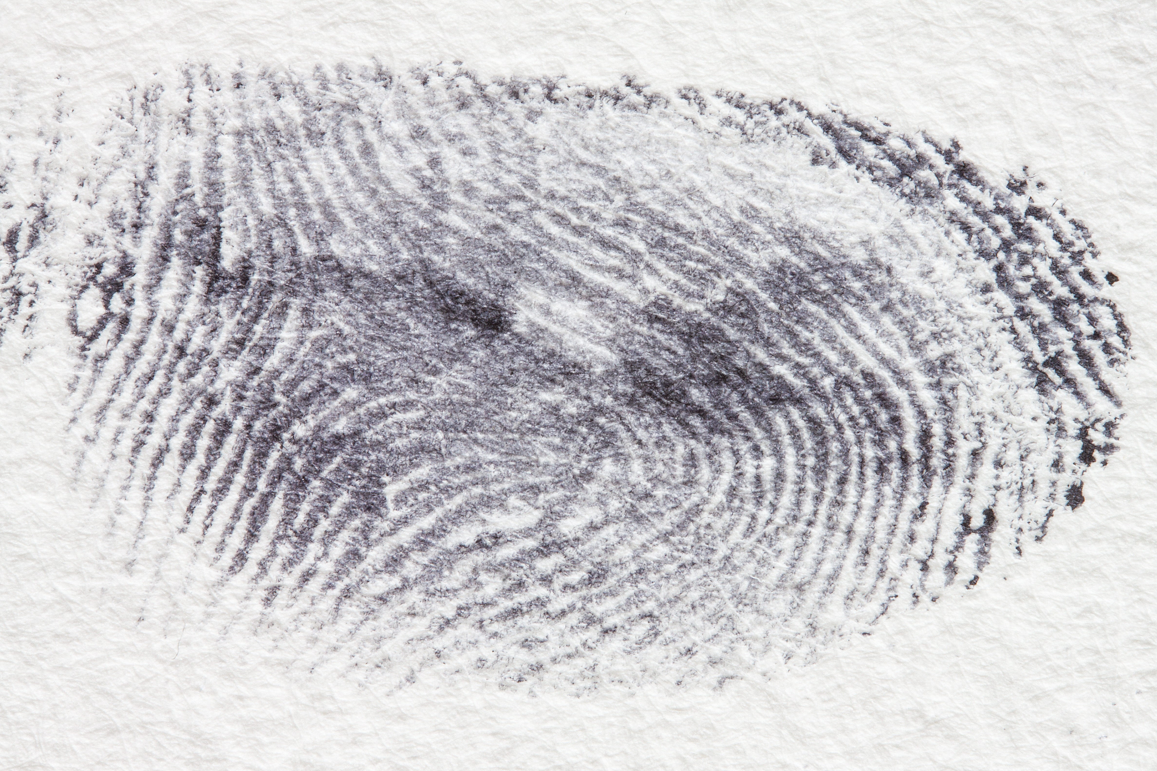 thumb print, fingerprint, daktylogramm, papillary, fingertip