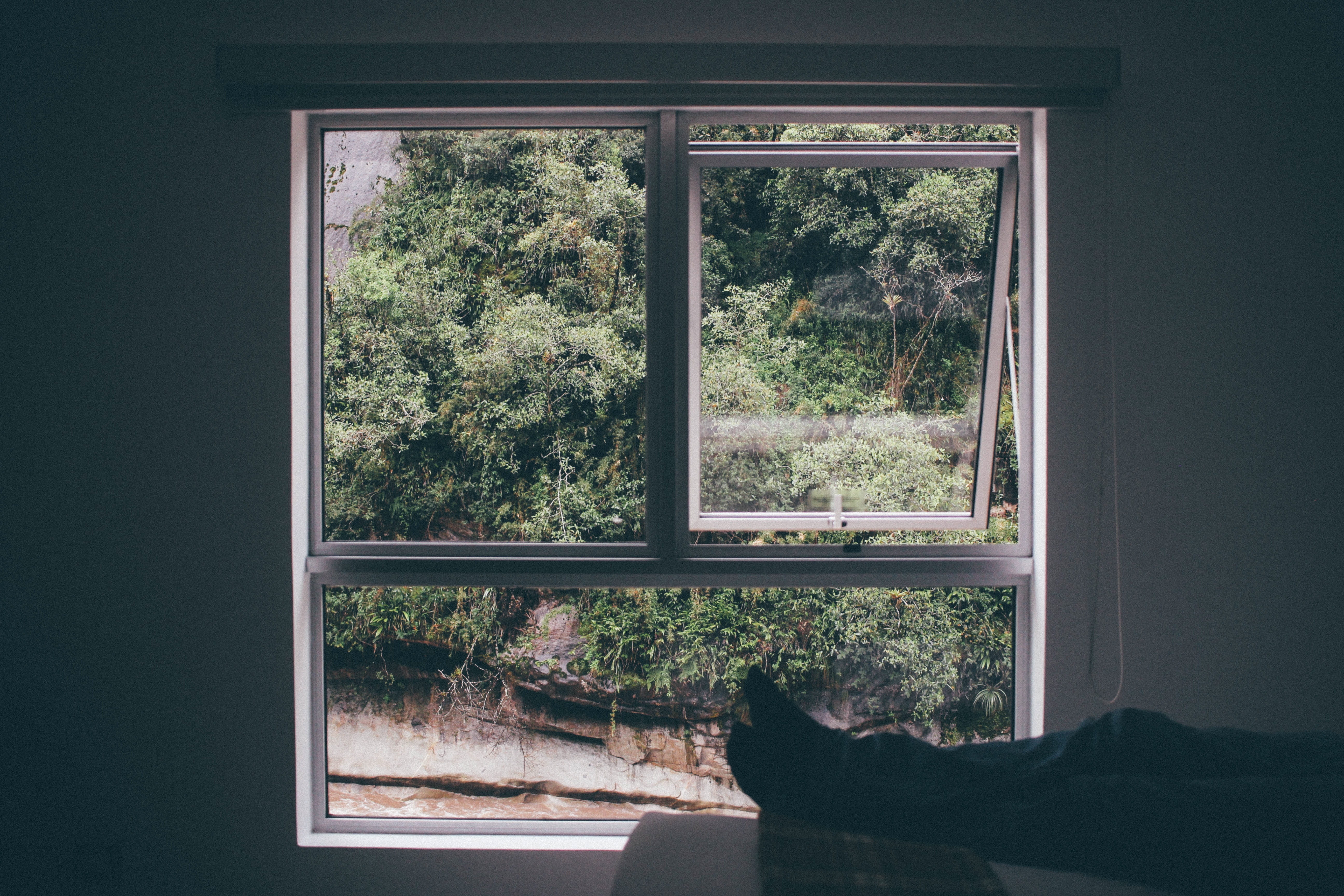 white sash window open, window frame, view, interior, window view
