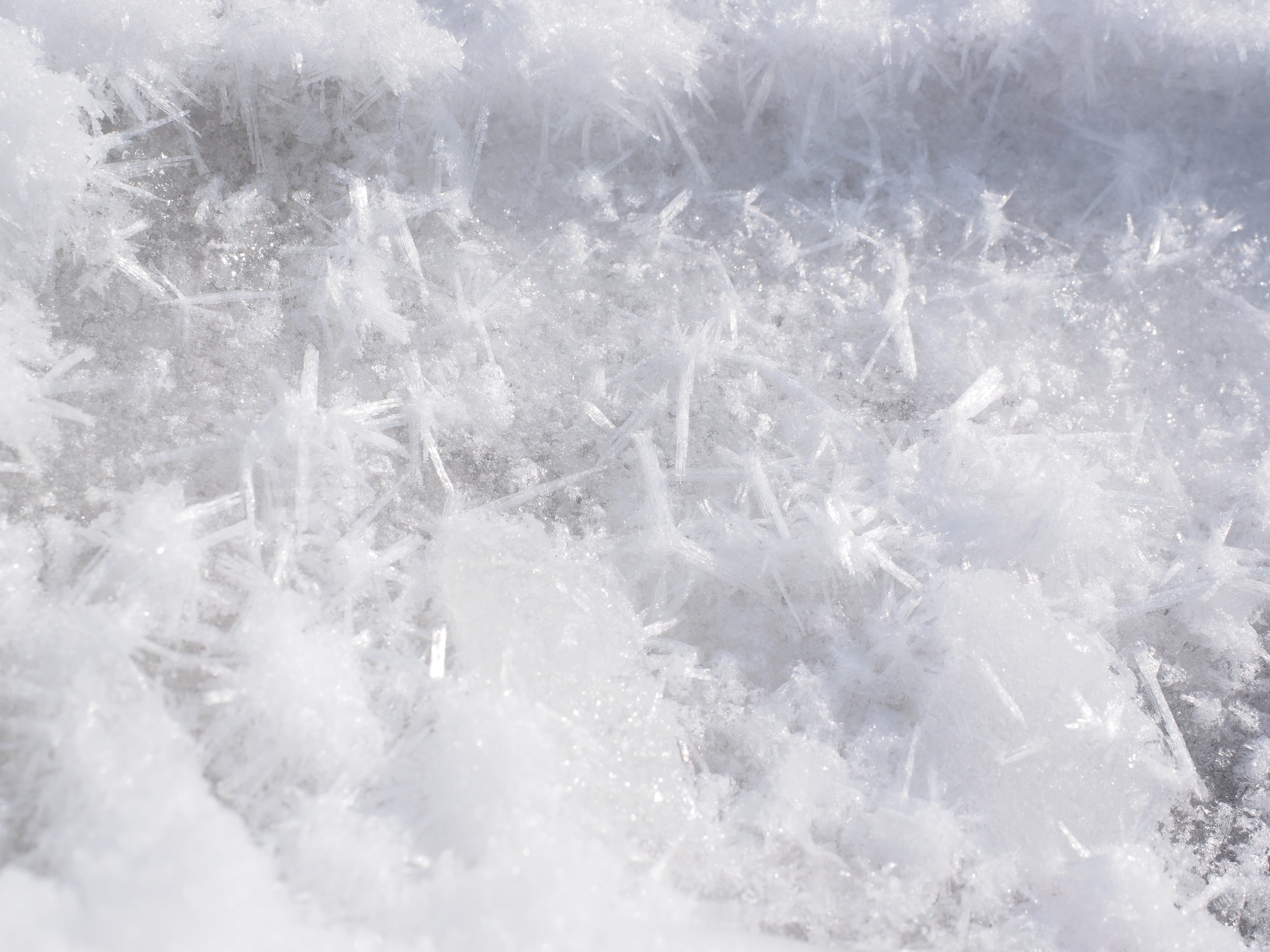 closeup photo of snow, crystals, eiskristalle, cold, ice, winter