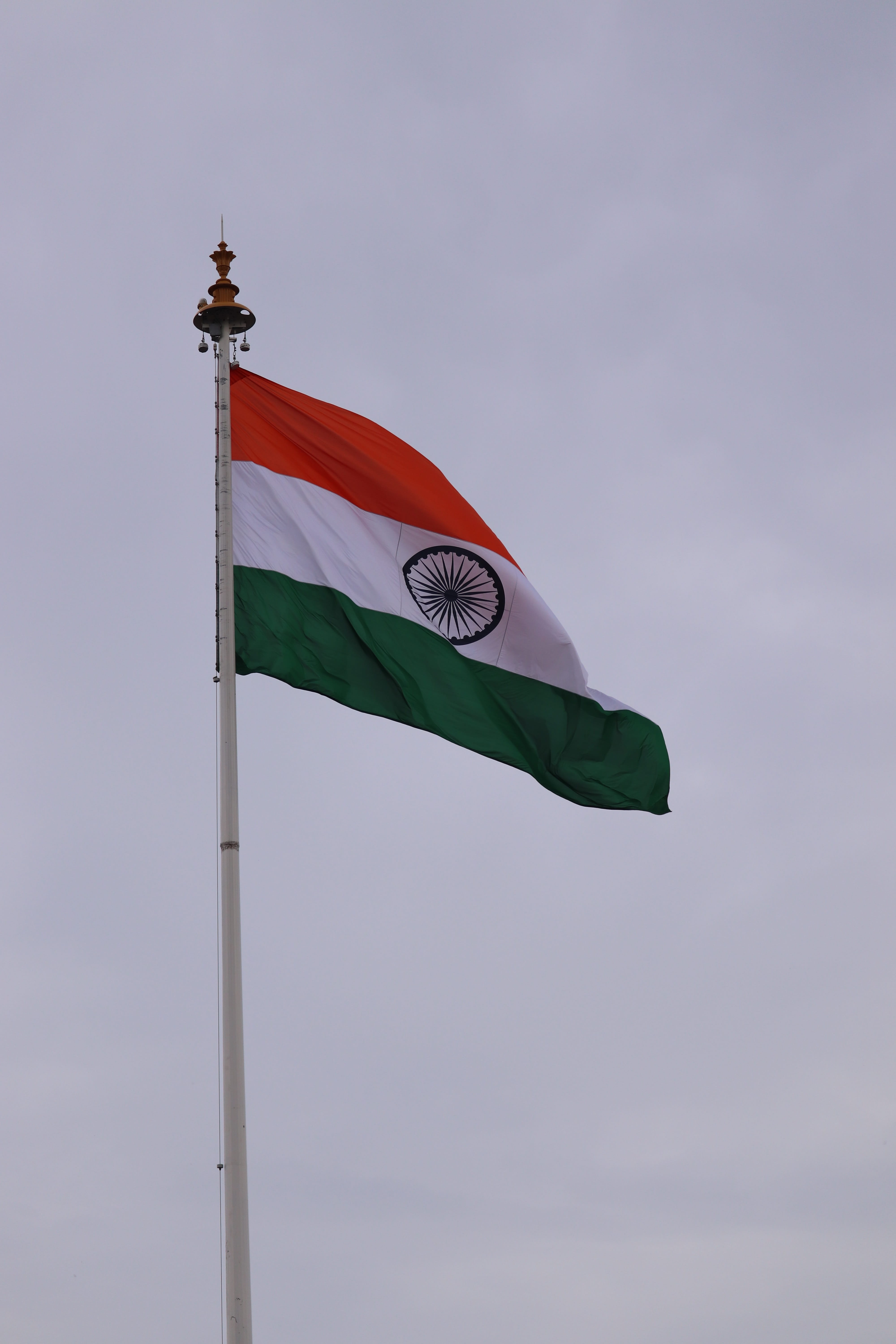 flag, india, nature, indian flag, people, stand, landscape