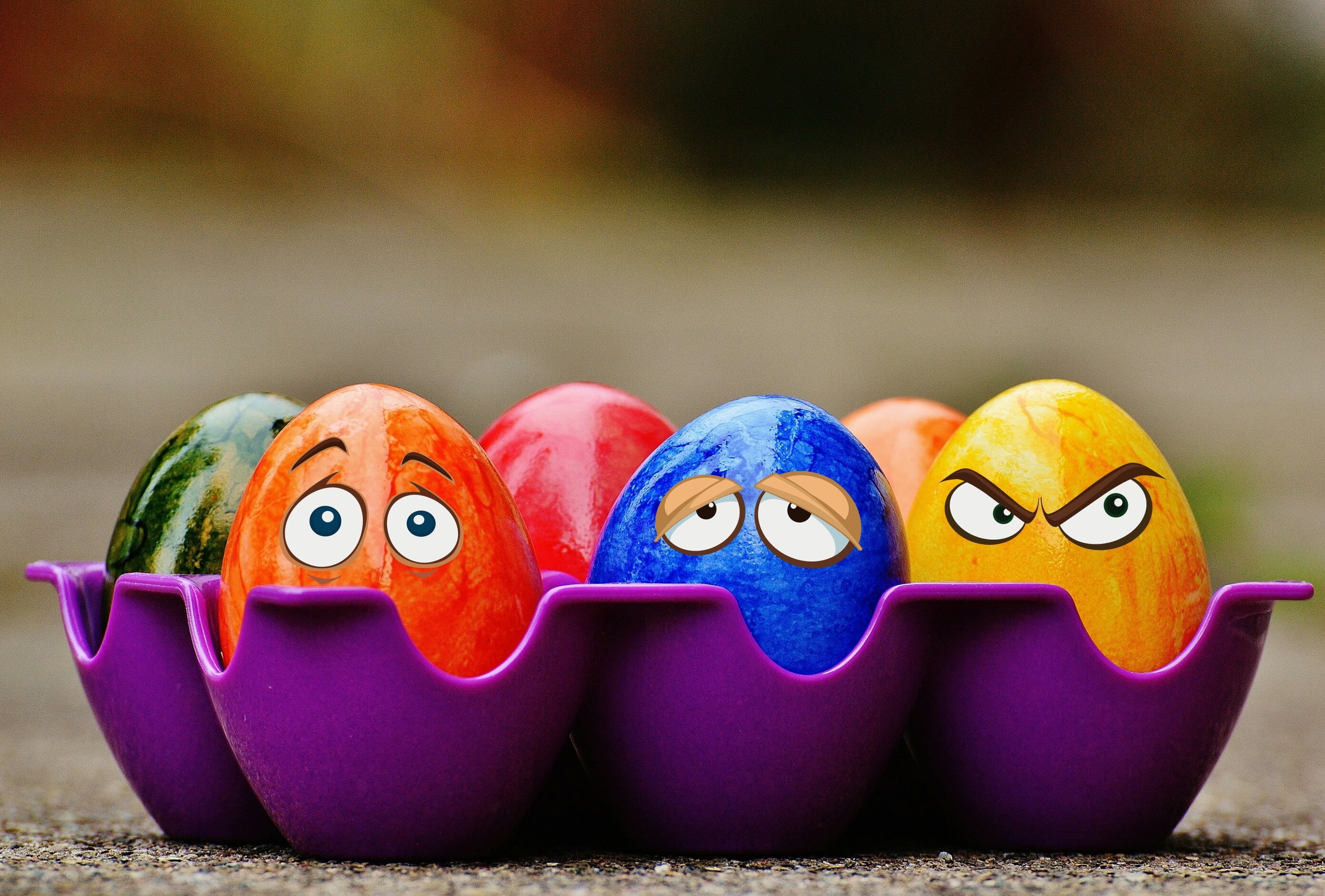 six assorted-color eggs in purple egg tray, easter, easter eggs