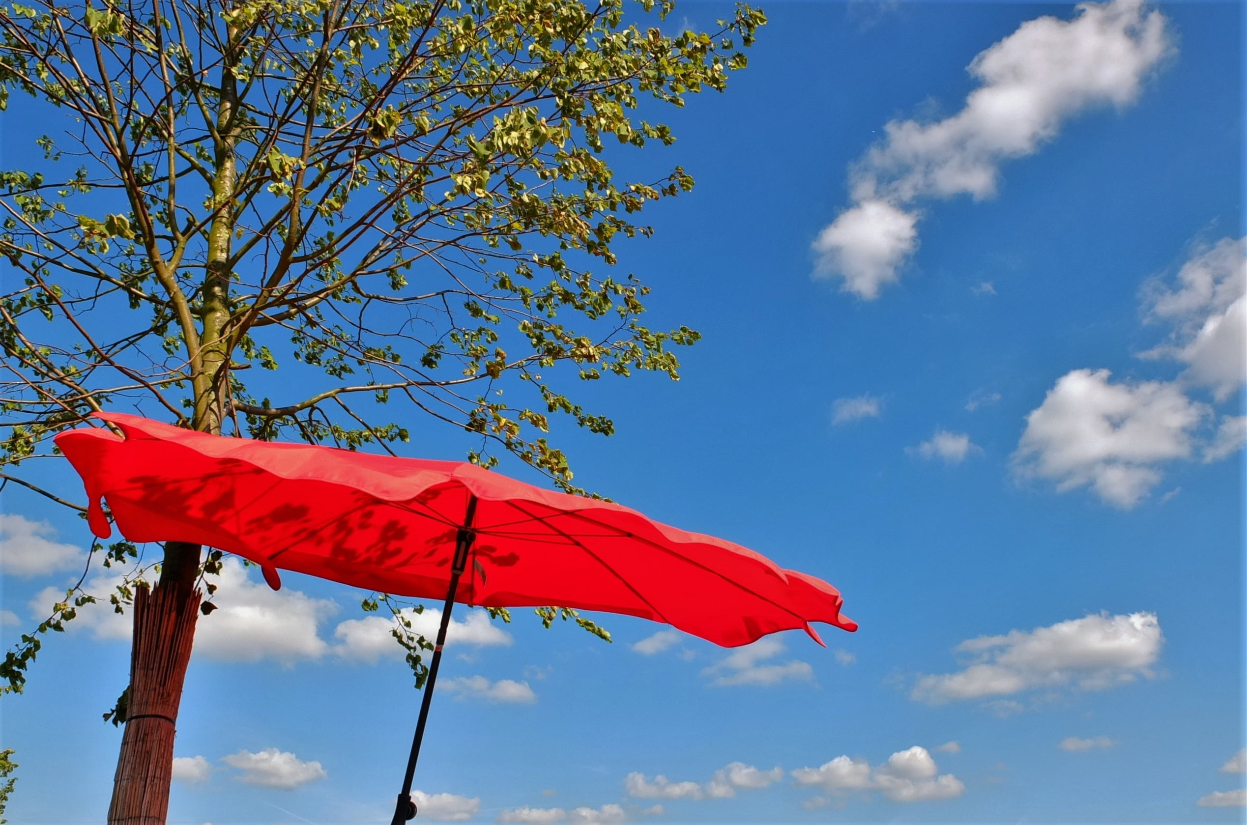 Free download | HD wallpaper: screen, summer, parasol, umbrella