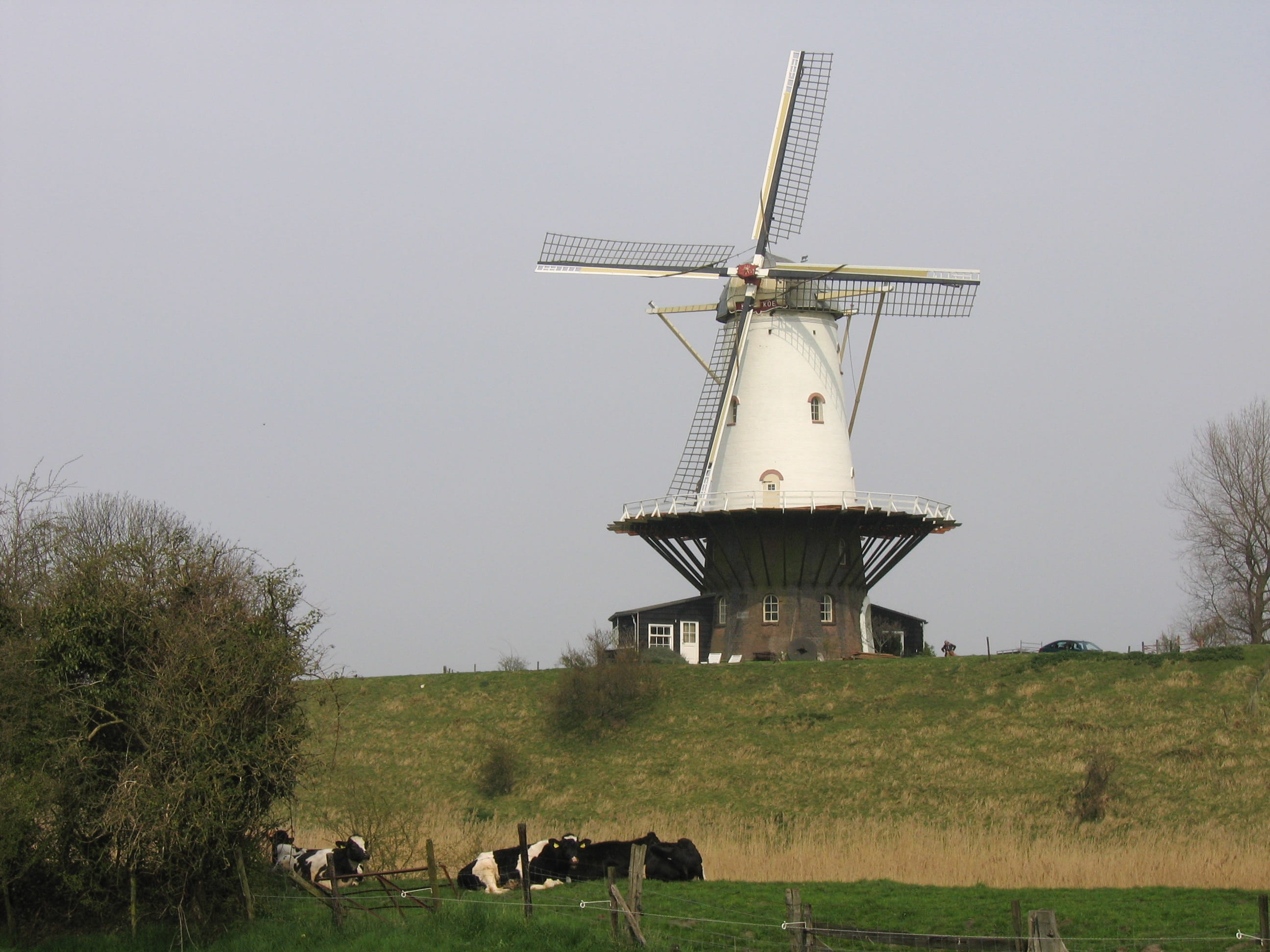 Windmill, Netherlands, Historic, environmental conservation
