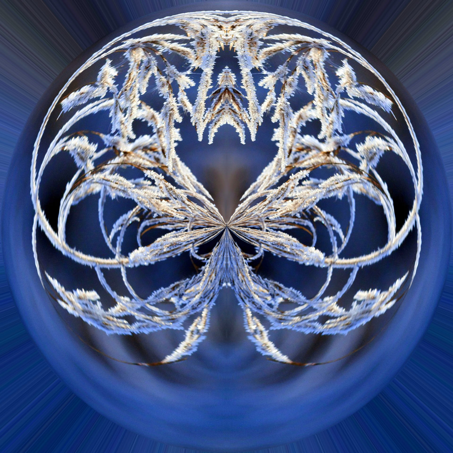 decoration, snowflake, ornate, art, desktop, abstract, pattern