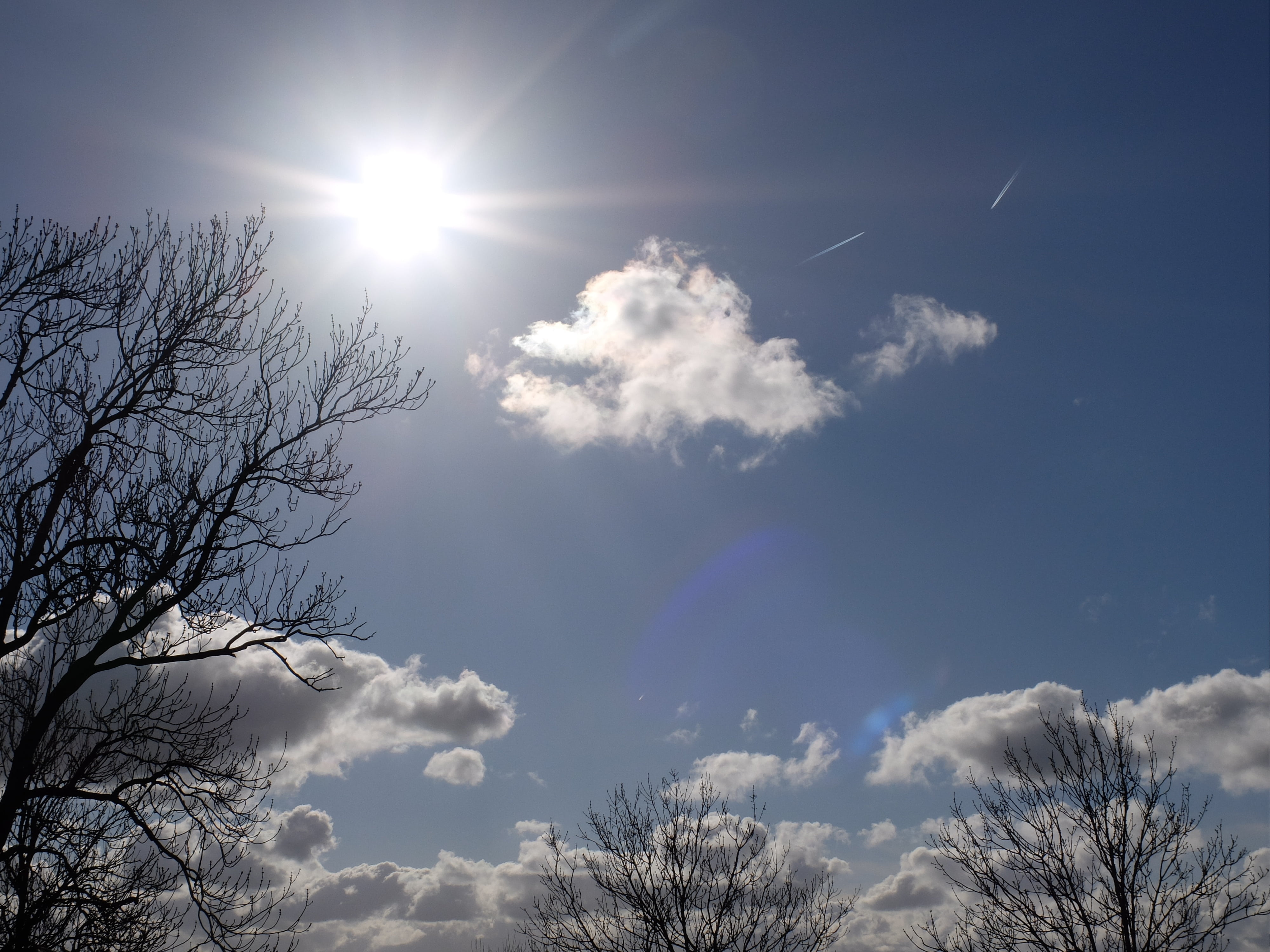 sky, sun, tree, cloud, autumn, low angle view, cloud - sky