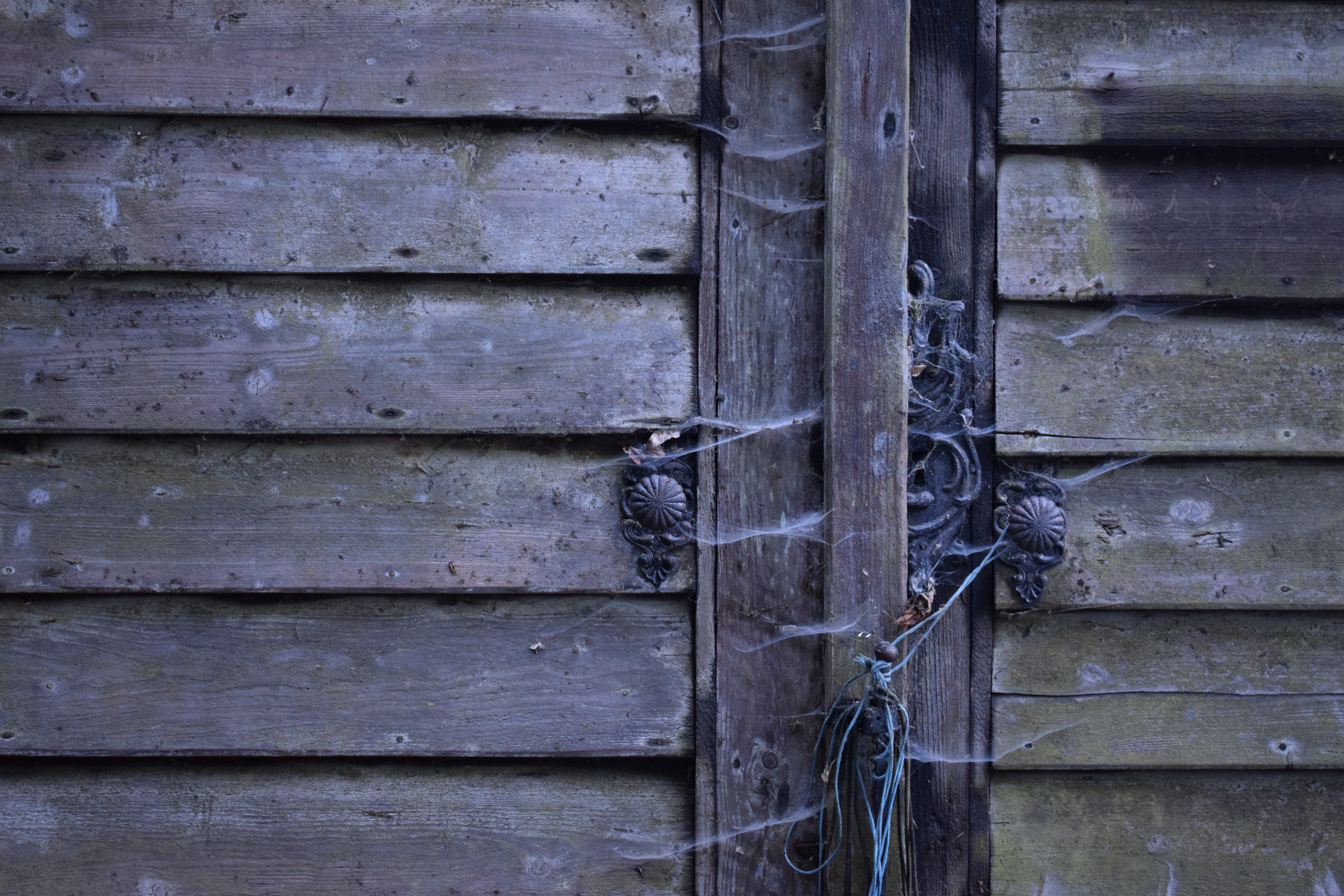 window shutter, lock, rustic wood, rotten, old, doors and windows