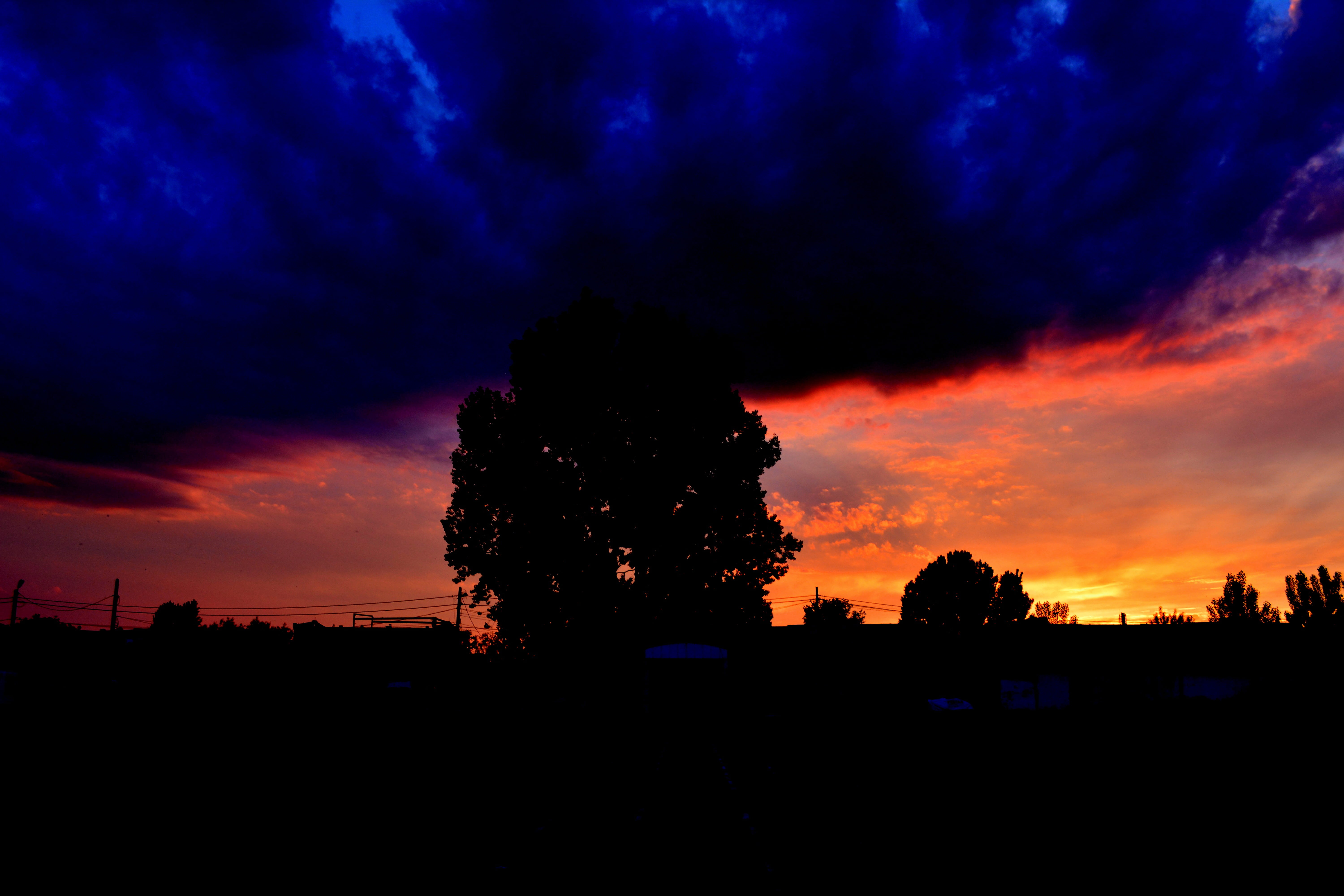 sunset, cloud, night, storm, sky, tree, silhouette, cloud - sky