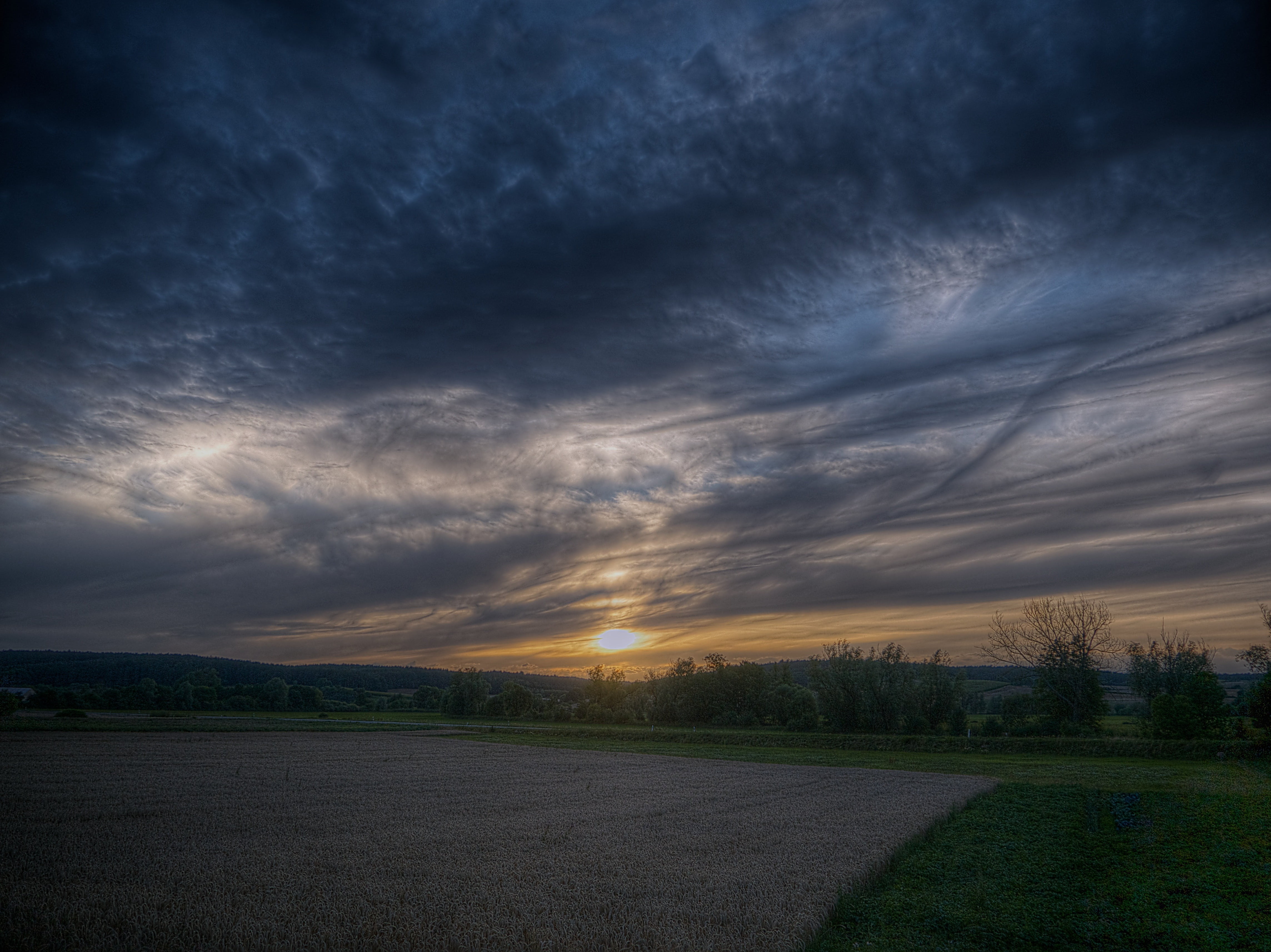 sunset, clouds, landscape, evening sky, plant, cloud - sky