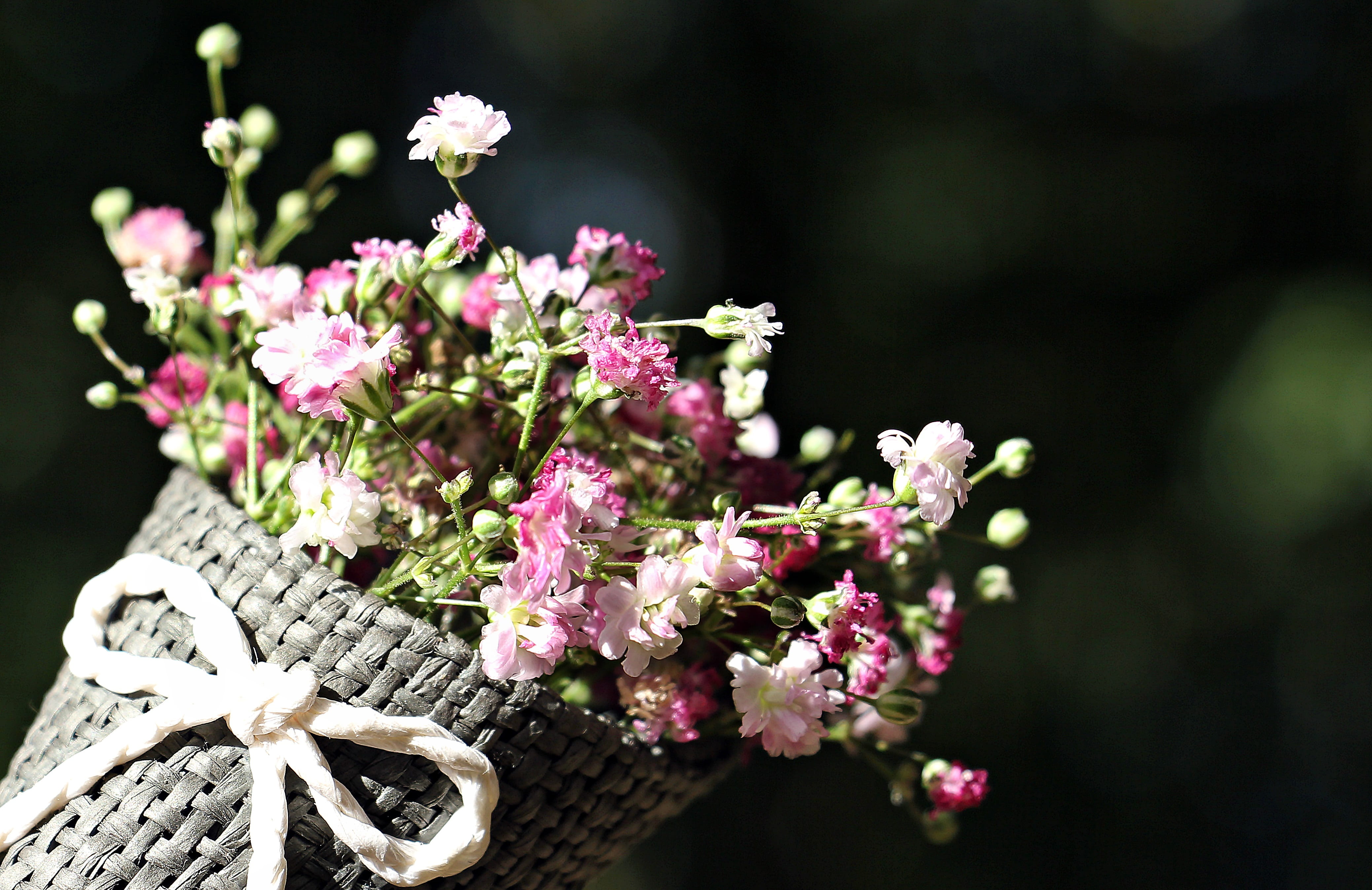 pink and white flowers on bouquet during daytime, bag gypsofilia seeds