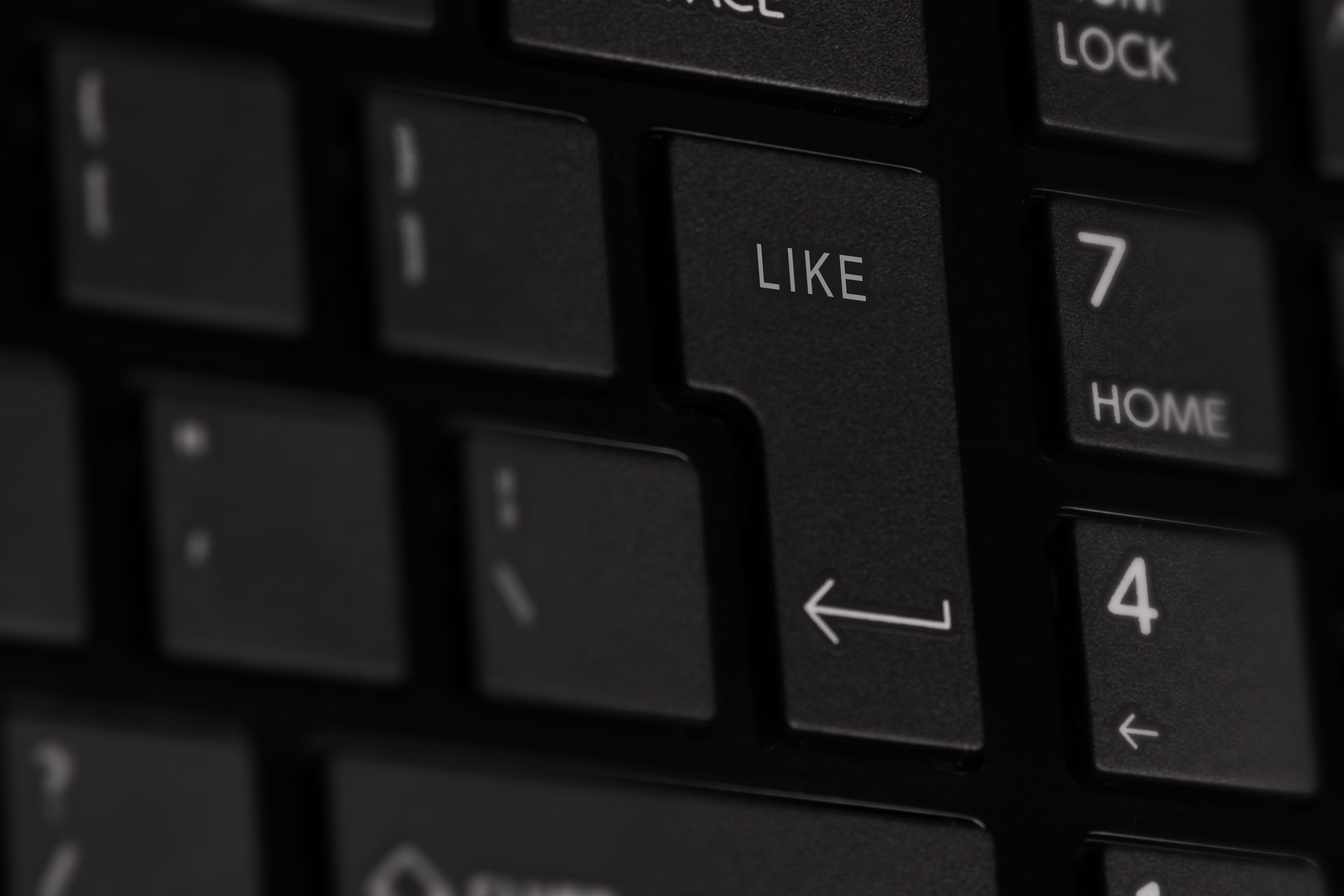 keyboard, button, entering, input, internet, data, given, digital
