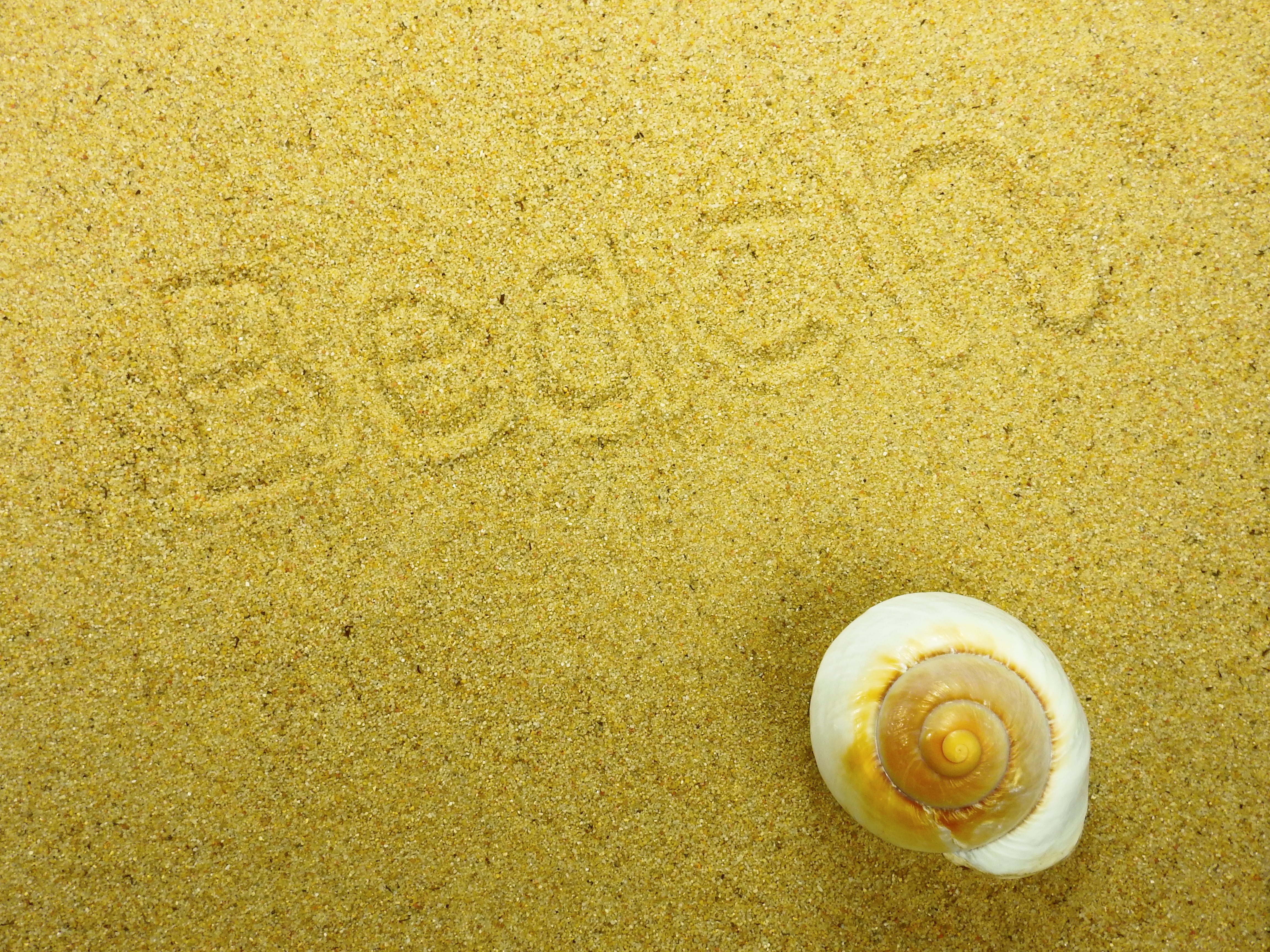 sand, beach, shell, nature, summer, background, map, greeting card