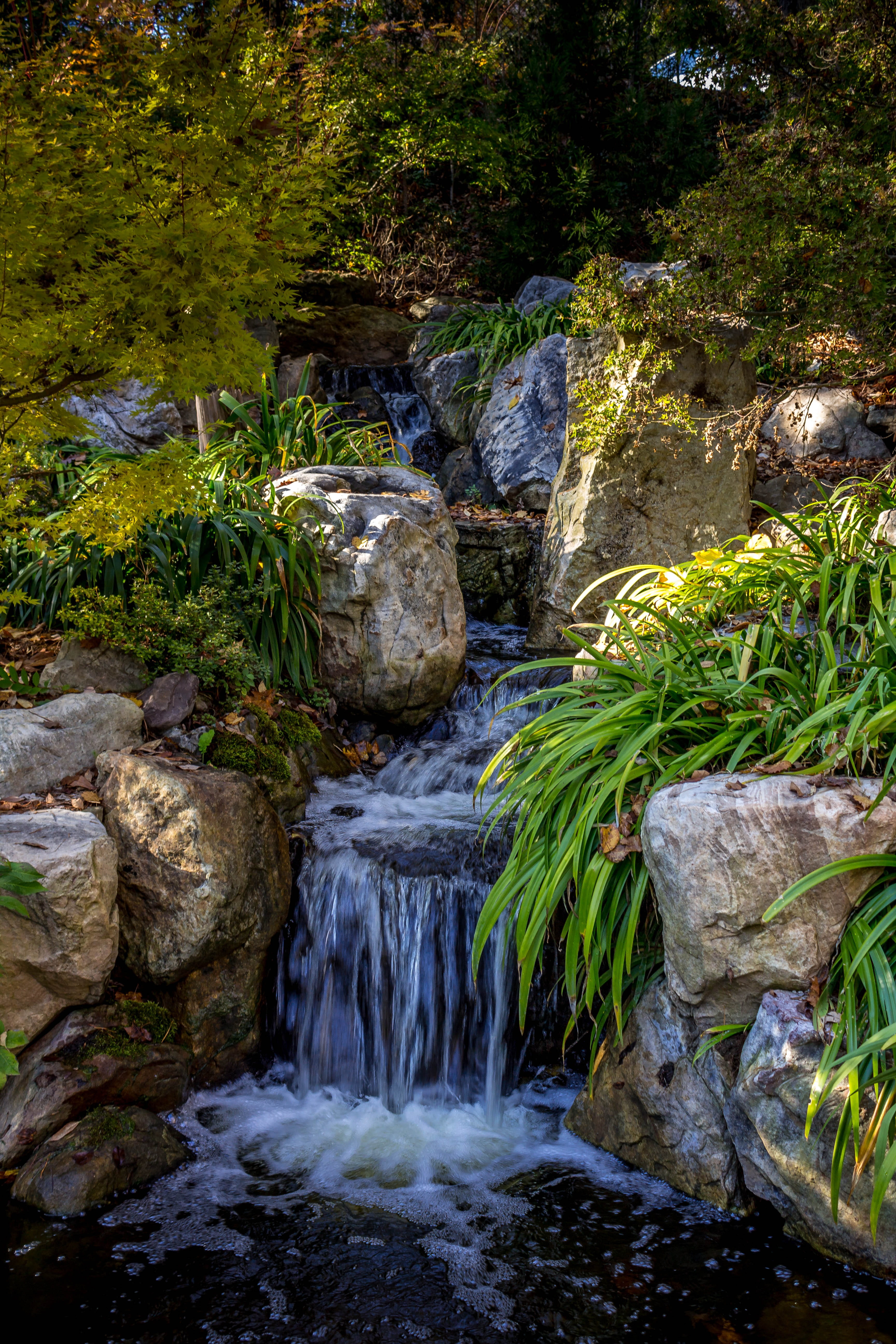 japan, waterfall, rocks, plant, rock - object, solid, forest