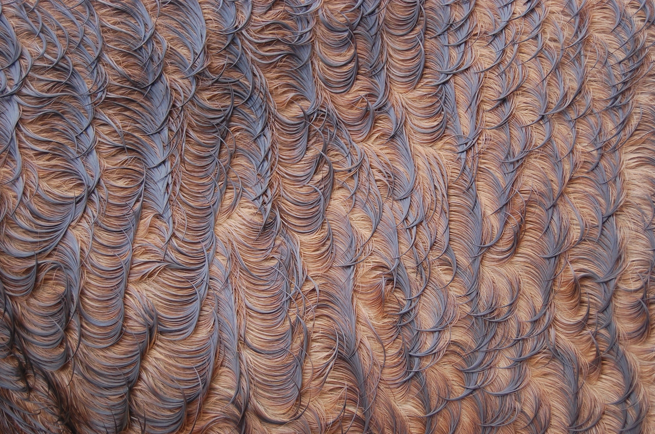 pattern, background, texture, abstract, design decoration, horse