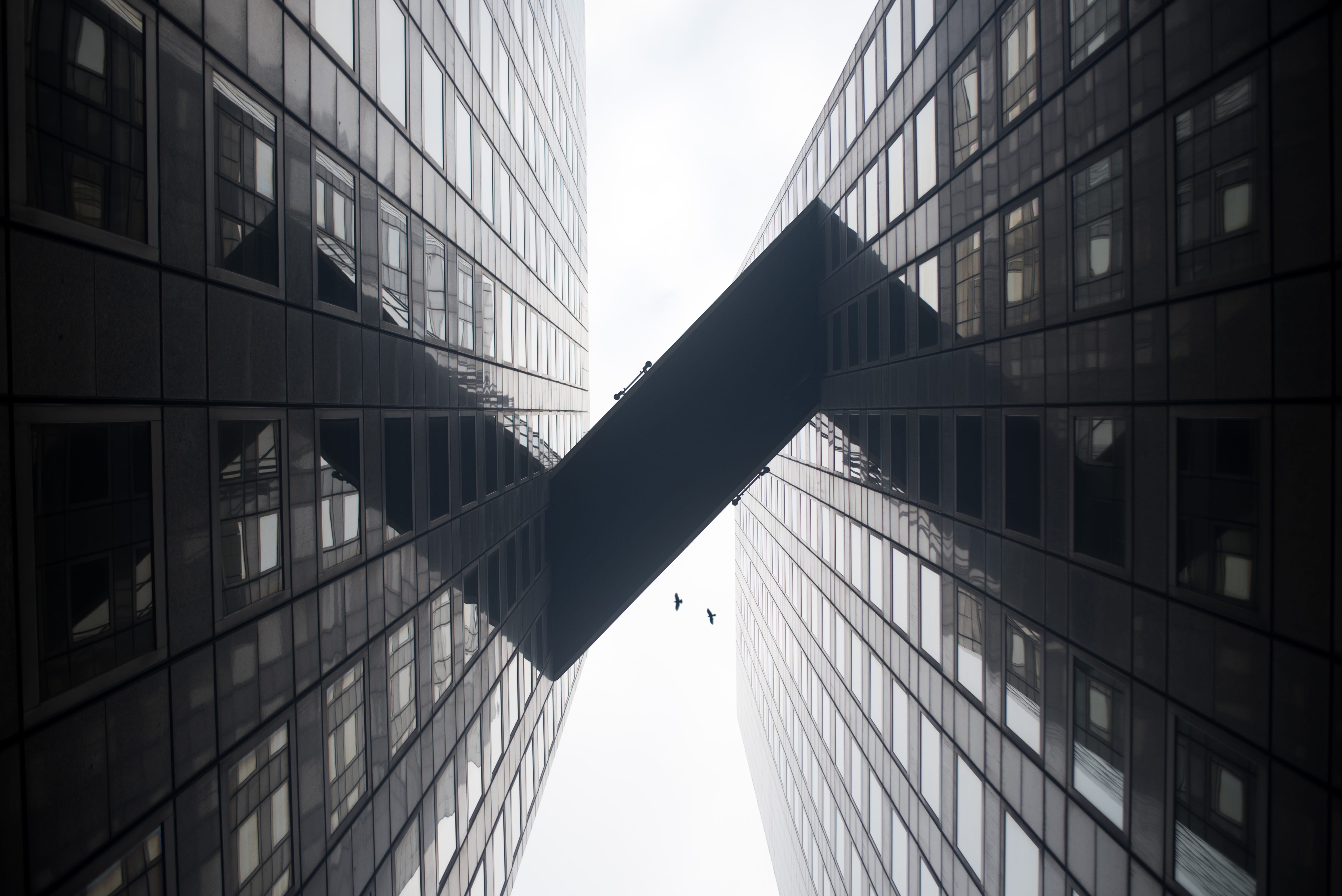 building, structure, sky, infrastructure, birds, flying, window