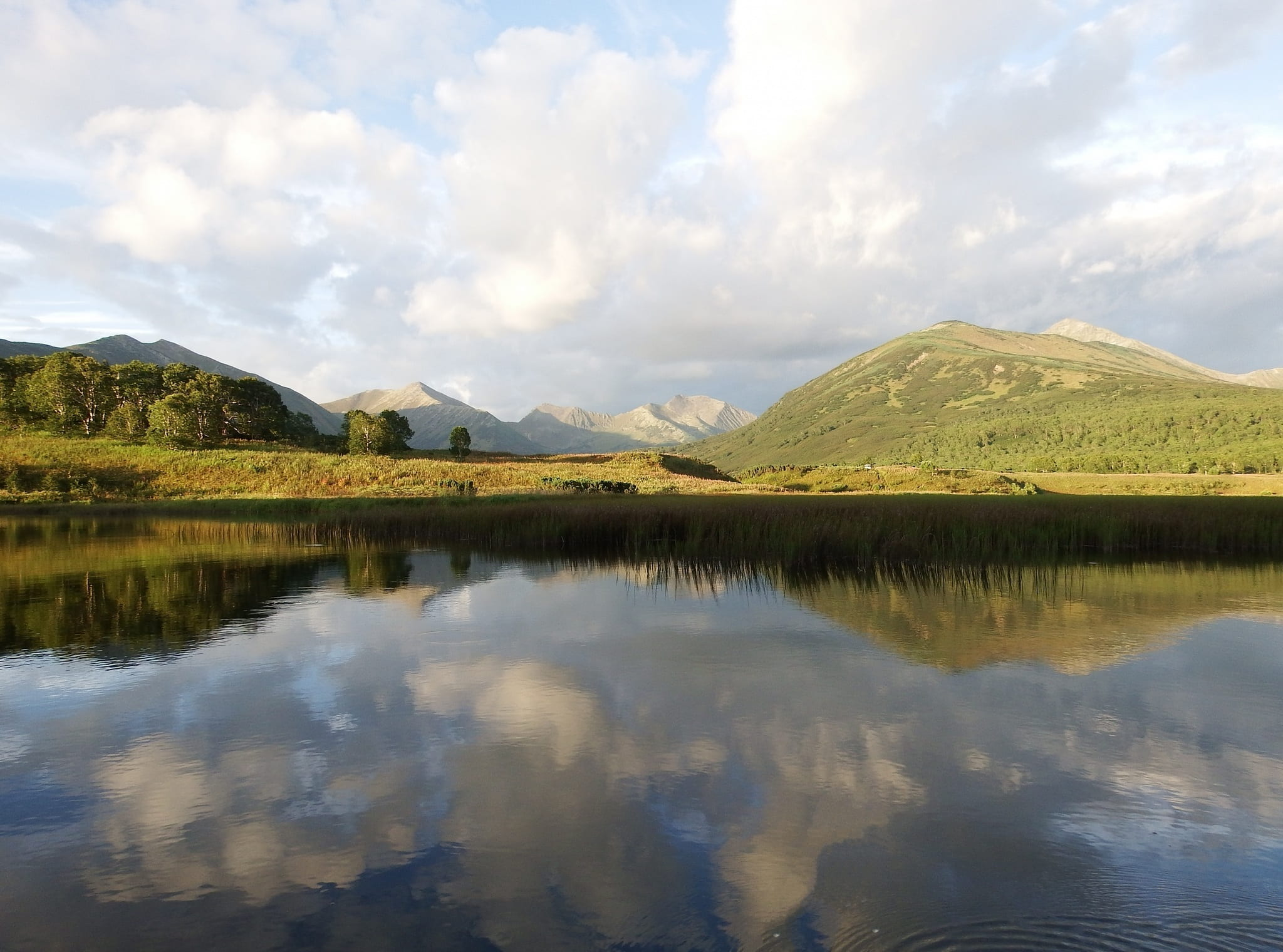 lake, mountains, forest, reflection, clouds, sky, beach, evening