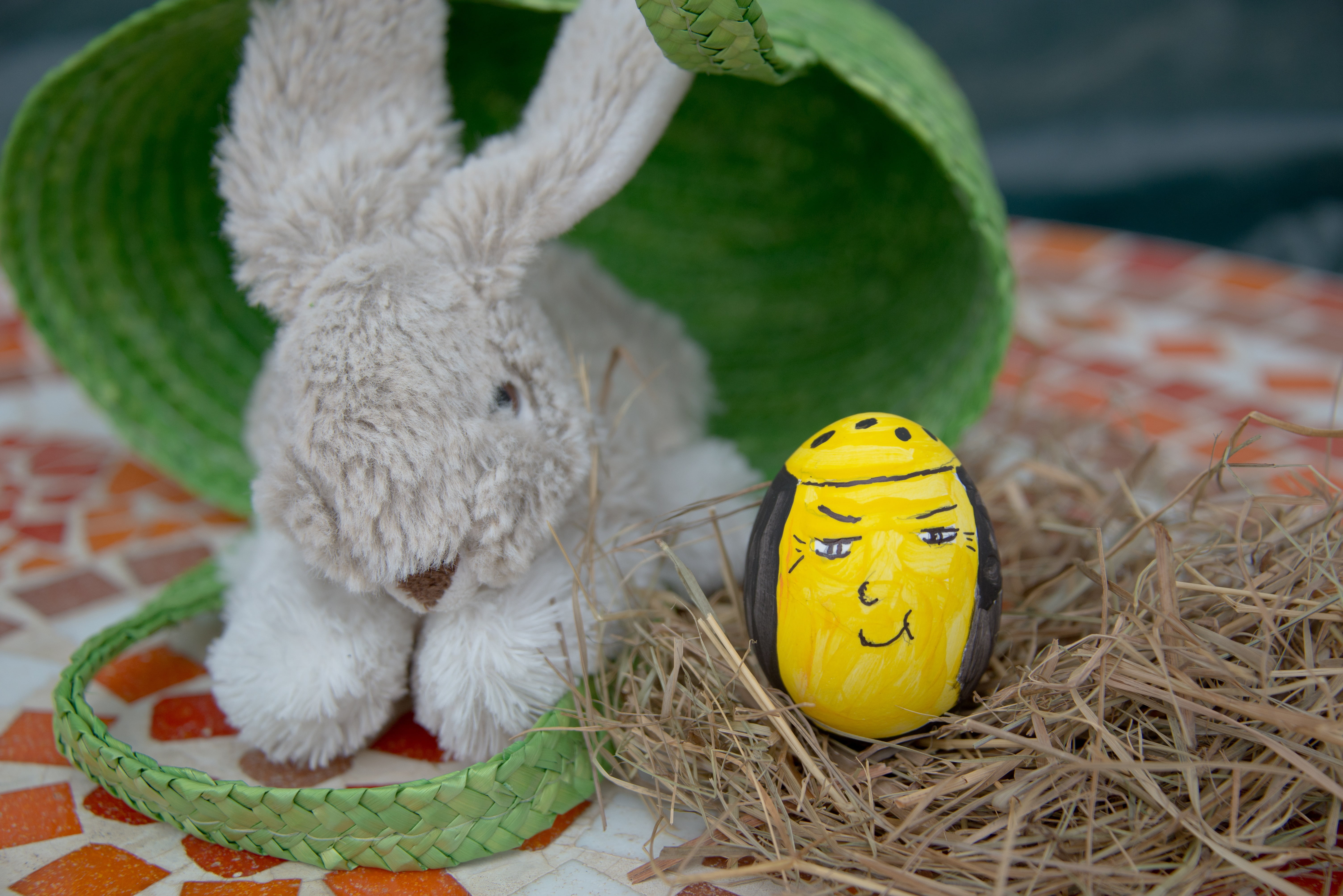 egg, easter, easter bunny, colorful, paint, custom, easter decorations