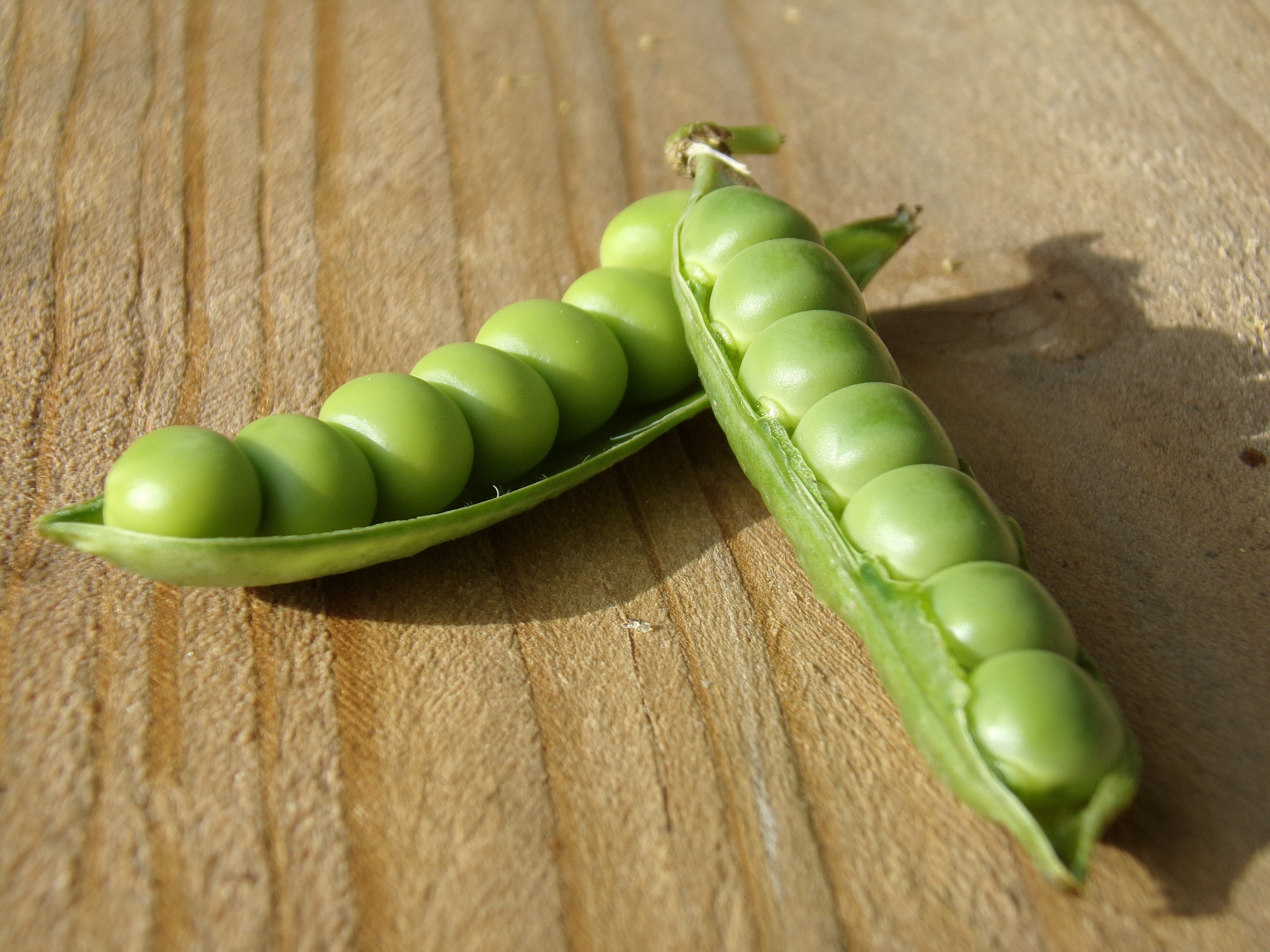 two green beans on brown surface, pea, pod, macro, vegetables