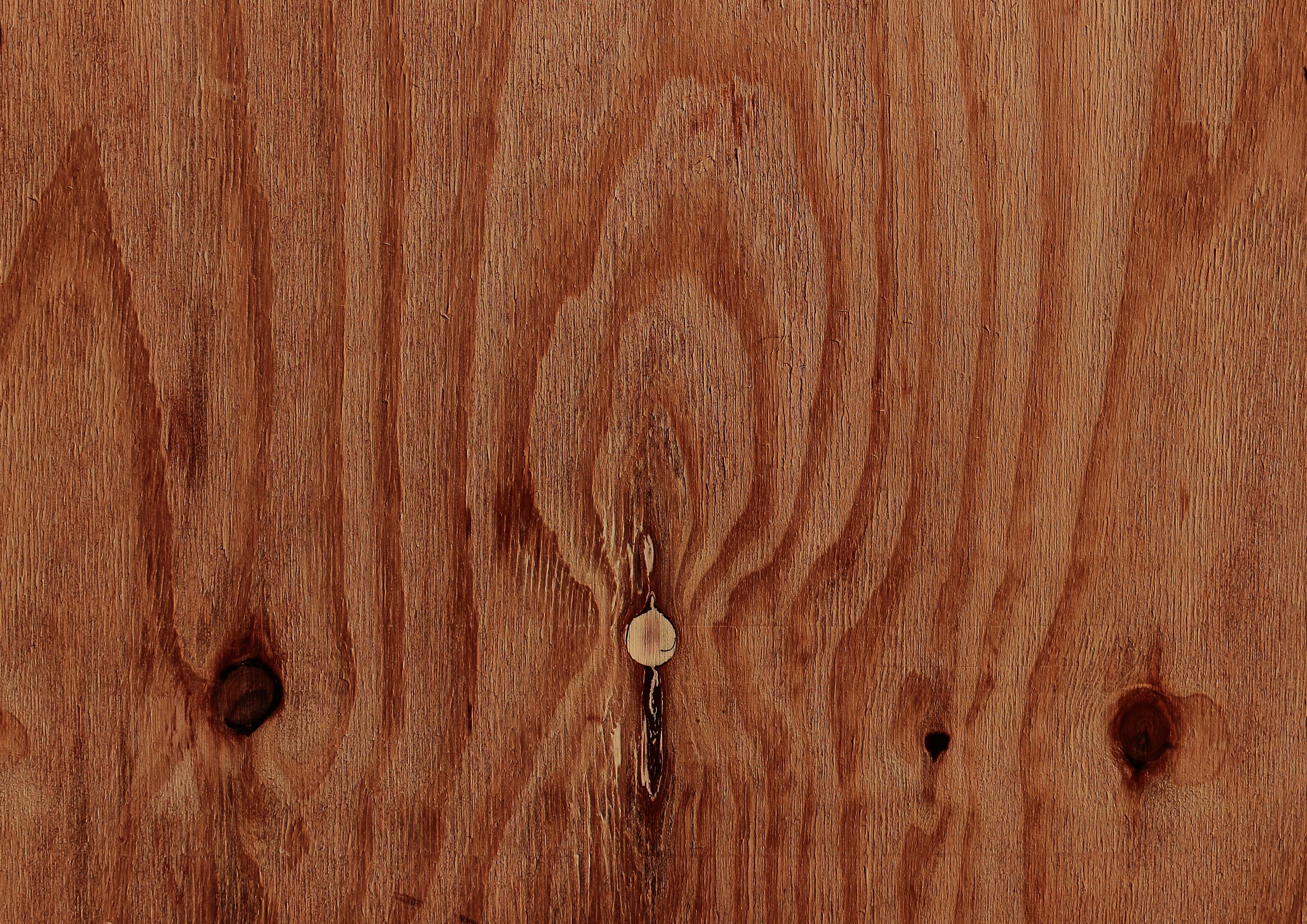 Wood, Pattern, Background, Texture, structure, grain, board