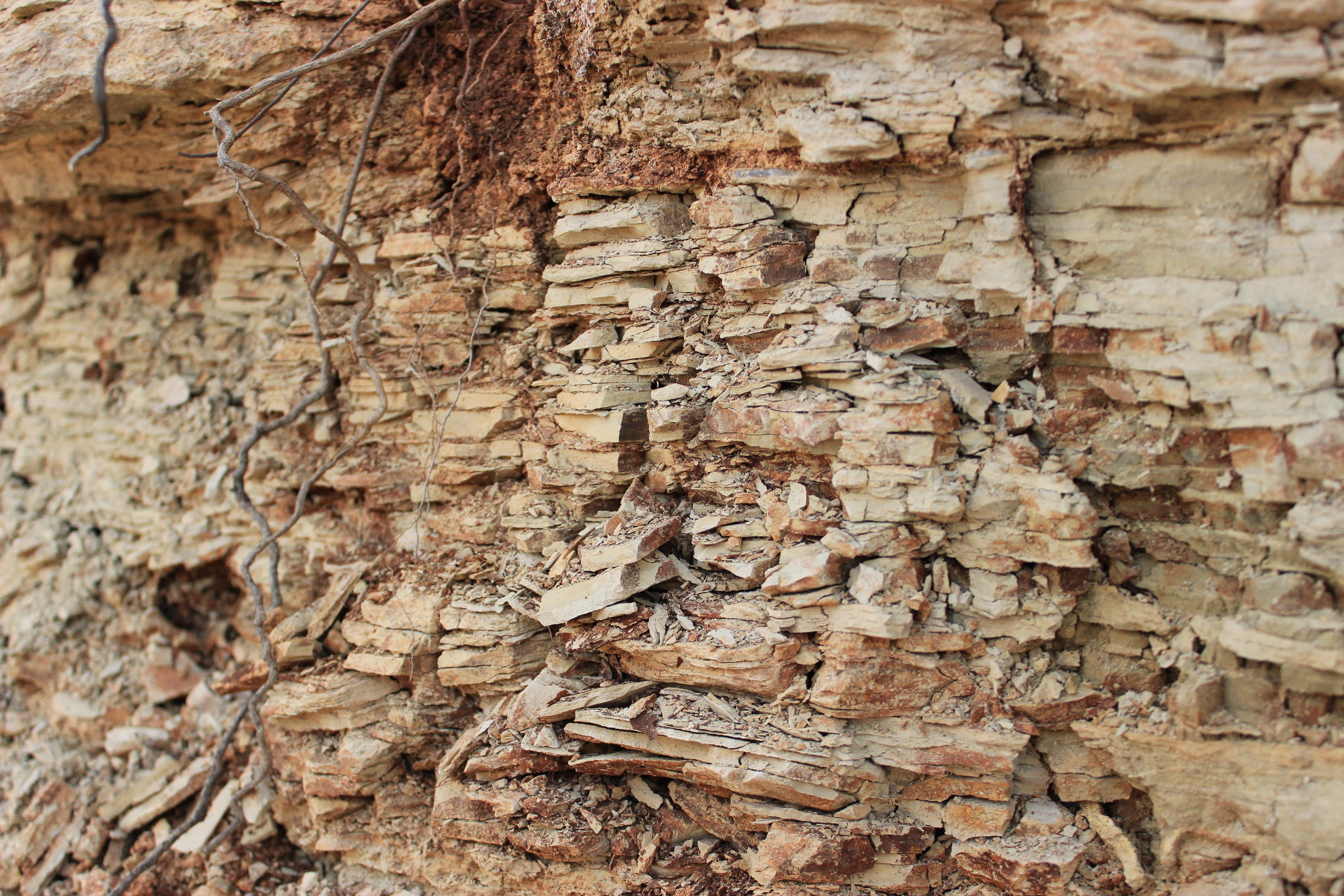 clay, grain, texture, full frame, textured, backgrounds, tree trunk