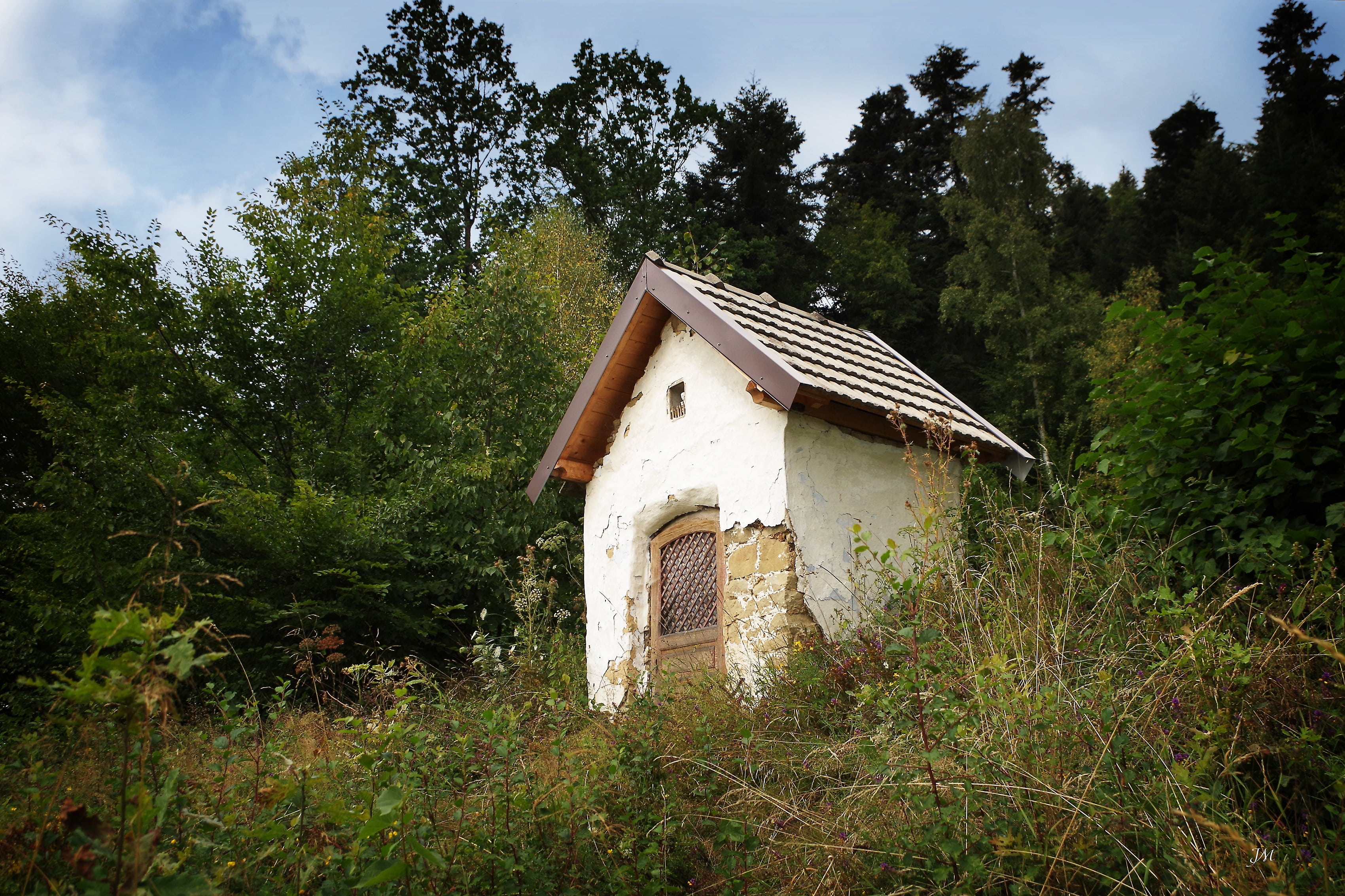 chapel, monument, forest, plant, tree, architecture, built structure
