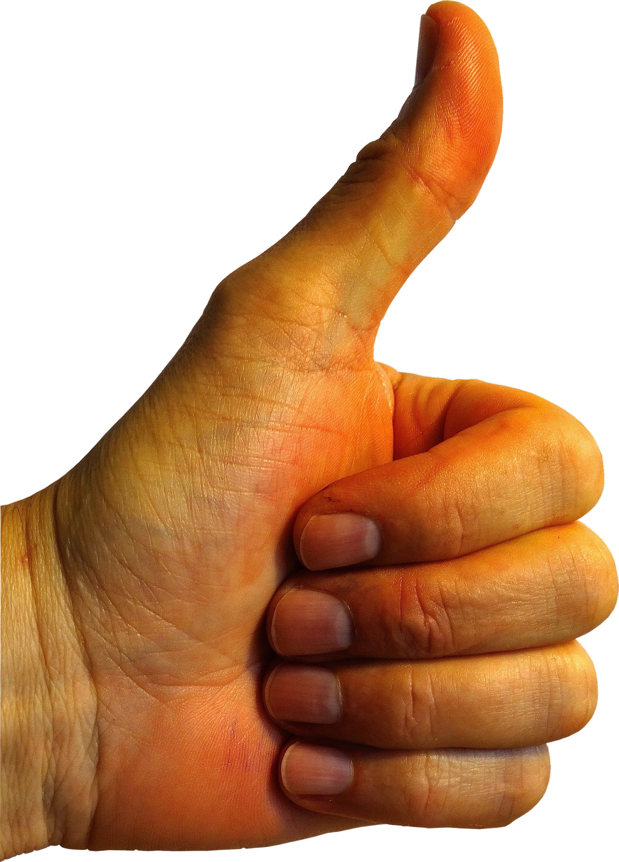 person's thumb, Thumbs Up, Finger, Sign Language, motivation