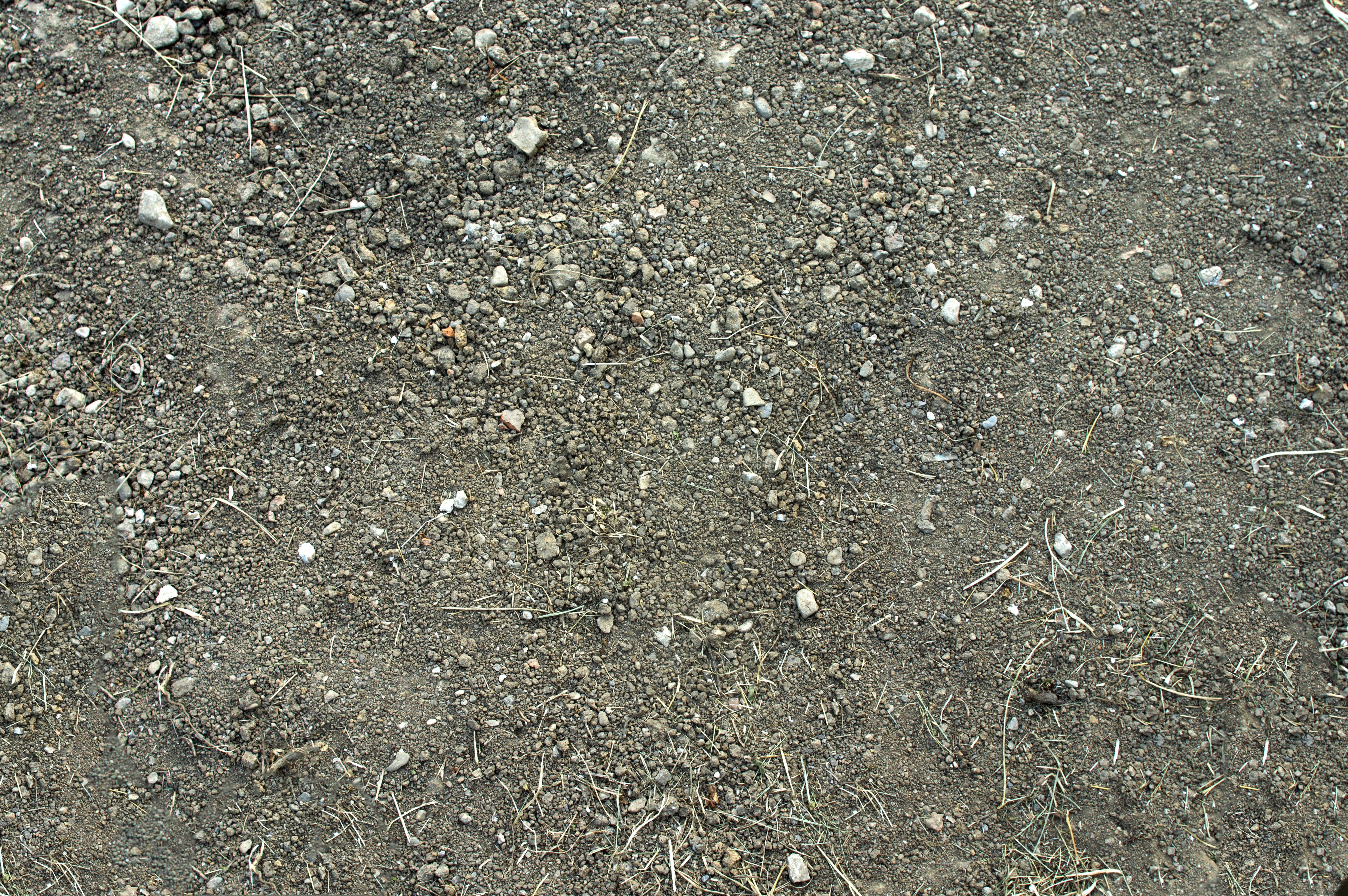 photo of gray soil at daytime, ground, earth, clay, nature, texture
