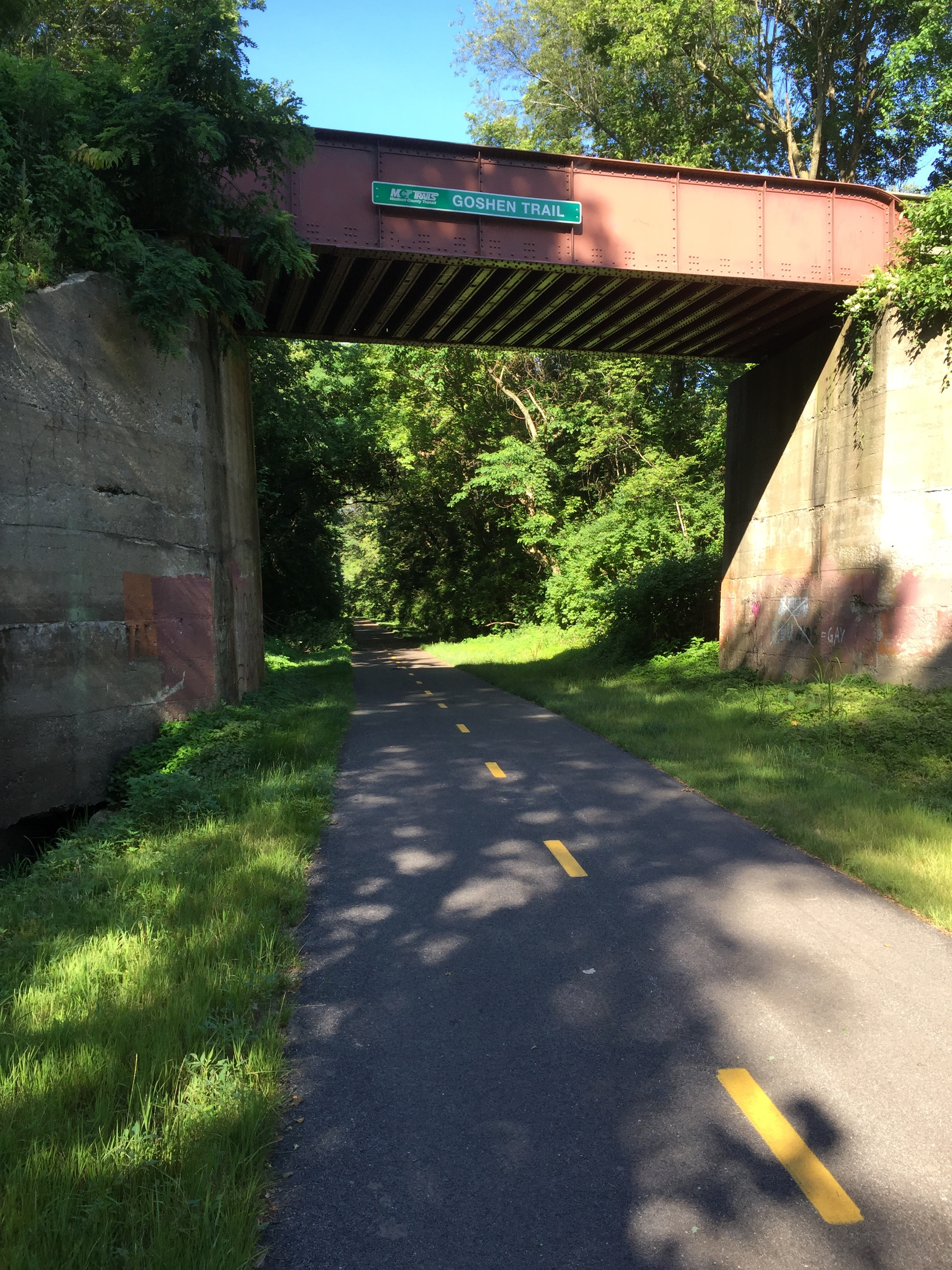 bridge, path, nature, structure, scenic, plant, tree, built structure