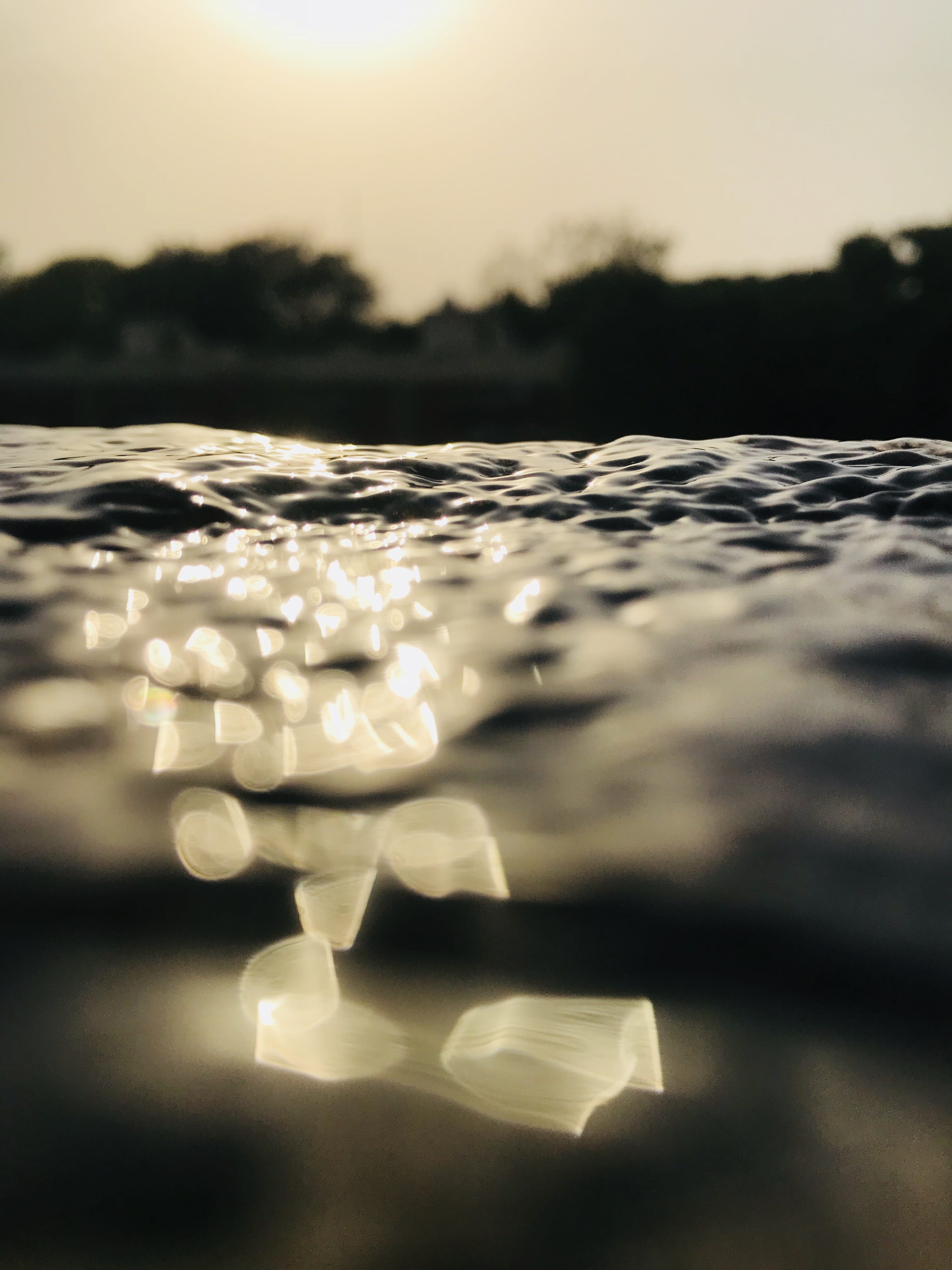 water, sunlight, reflection, sunset, nature, sky, selective focus