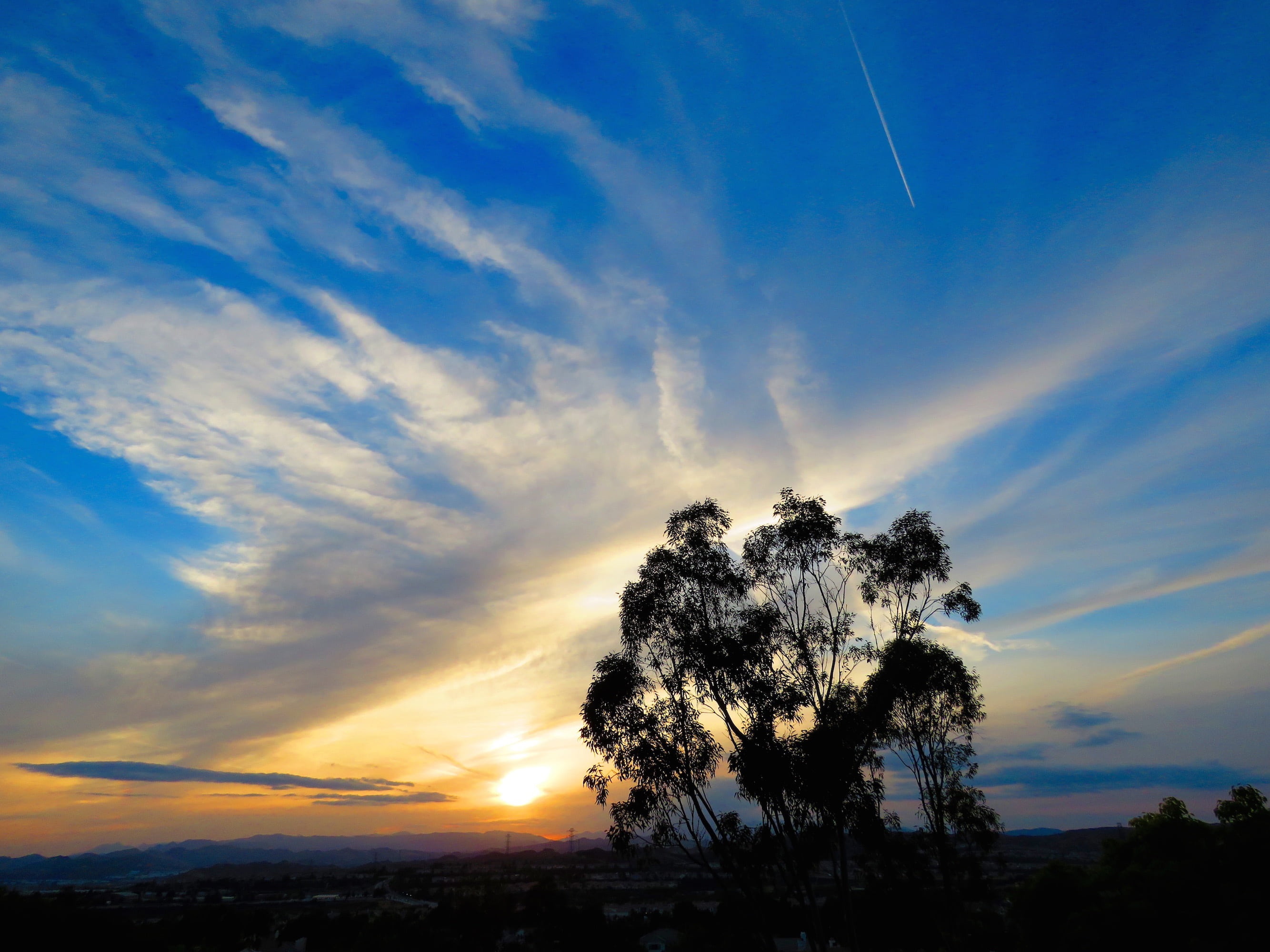 sunset, clouds, tree, sky, nature, blue, light, view, horizon