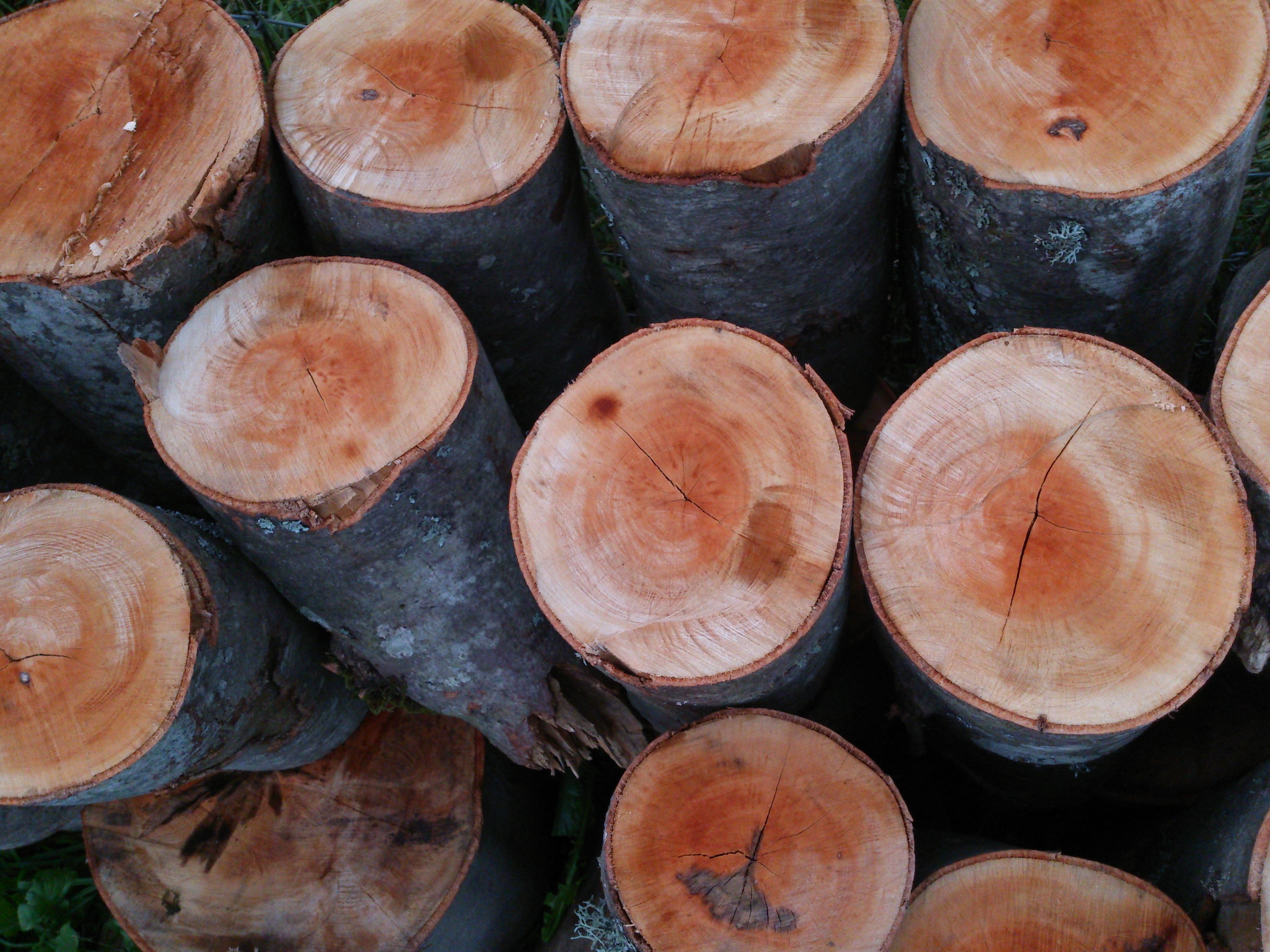 trunk, wood, pine, full frame, backgrounds, stack, log, timber