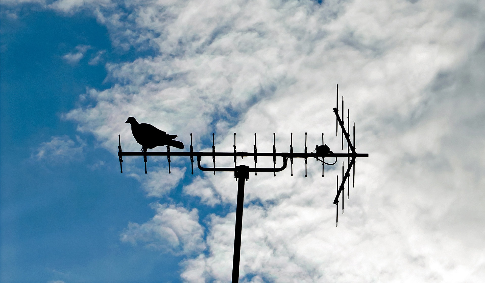 pigeon, antenna, bird, sitting, silhouette, receiver, sky, blue