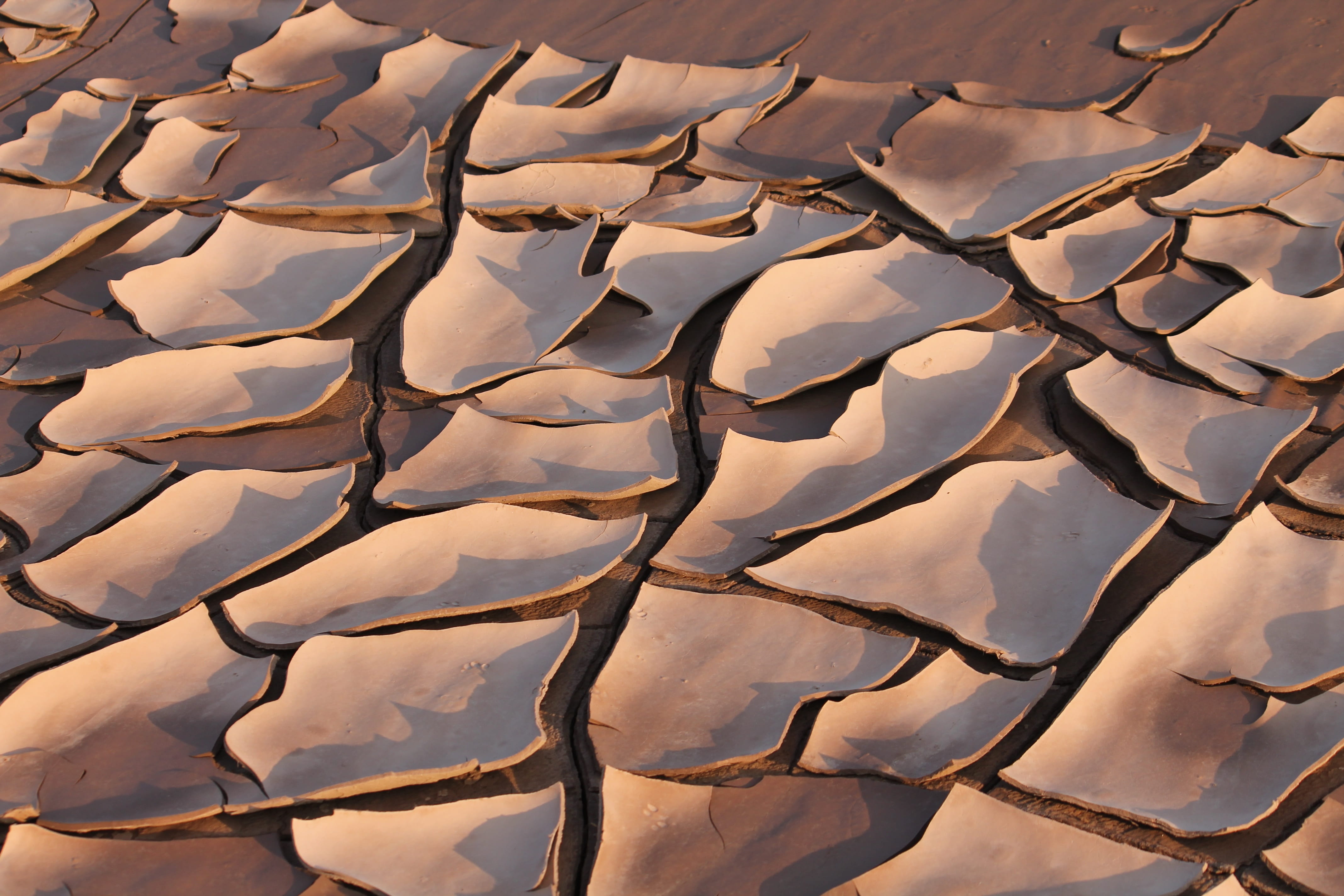 riverbed, mud, dried, cracked, full frame, backgrounds, pattern