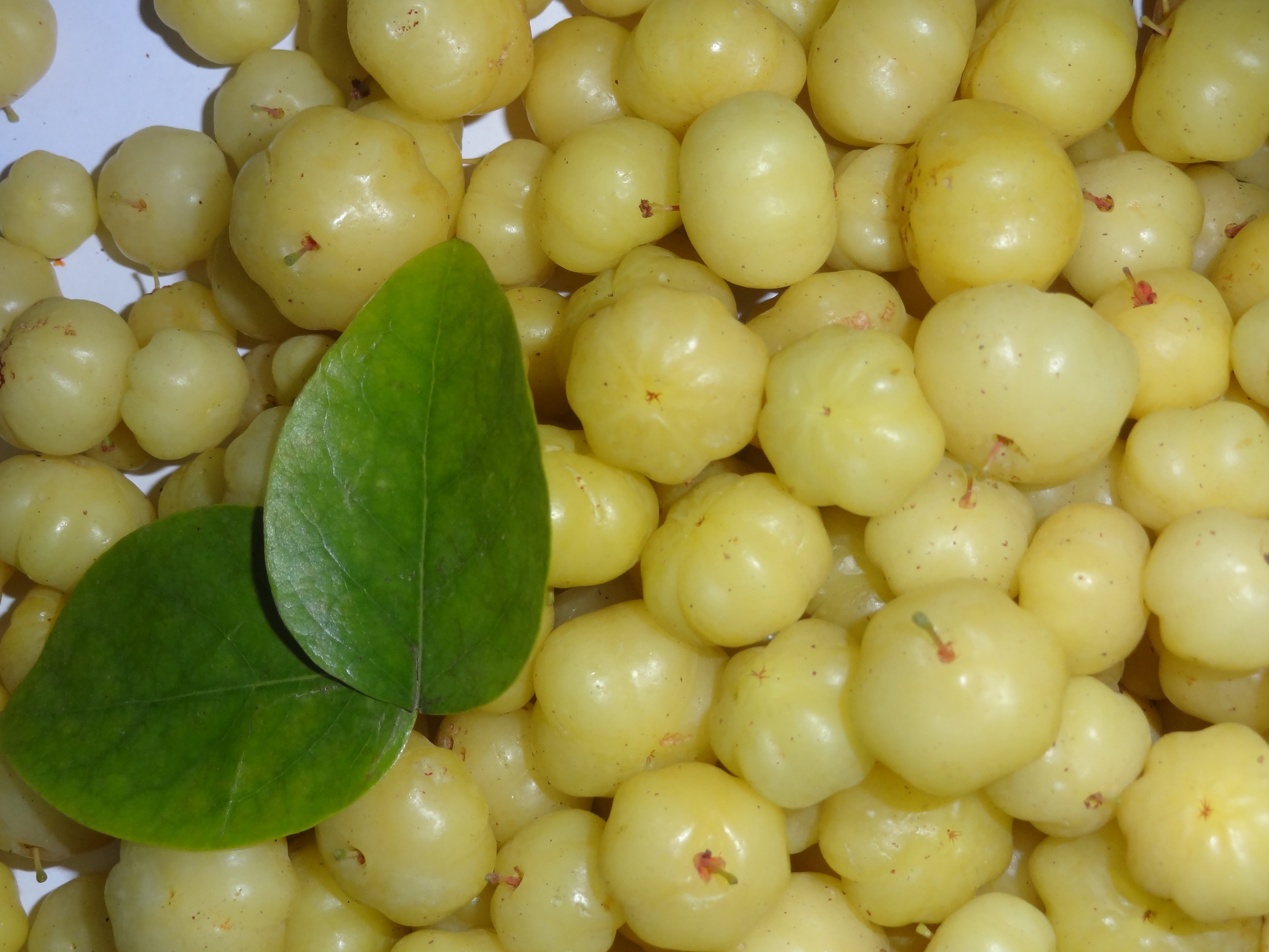 round yellow fruits beside two green leaves, goose berries, amla