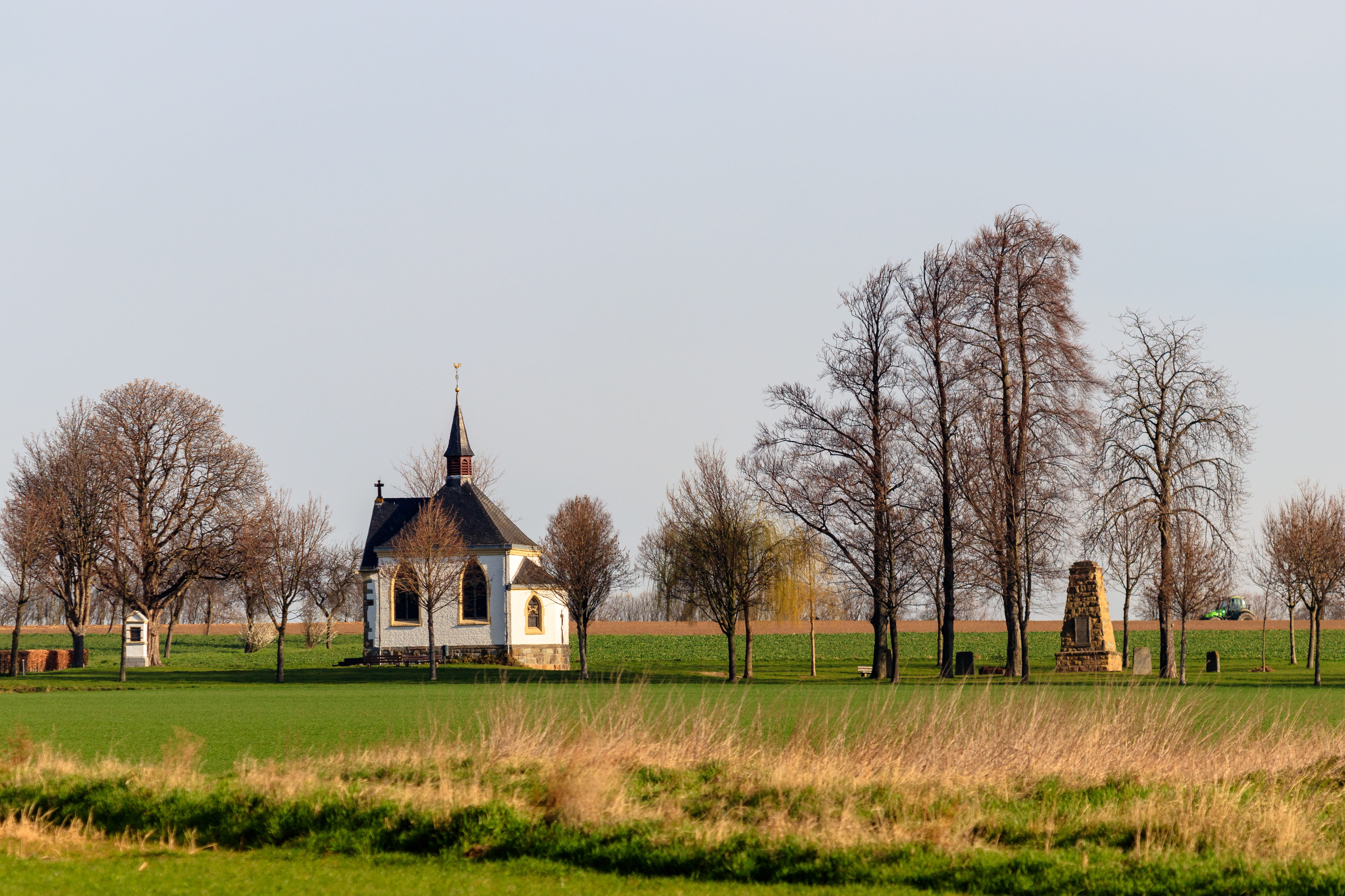 grass, tree, landscape, nature, field, chapel, eifel, architecture