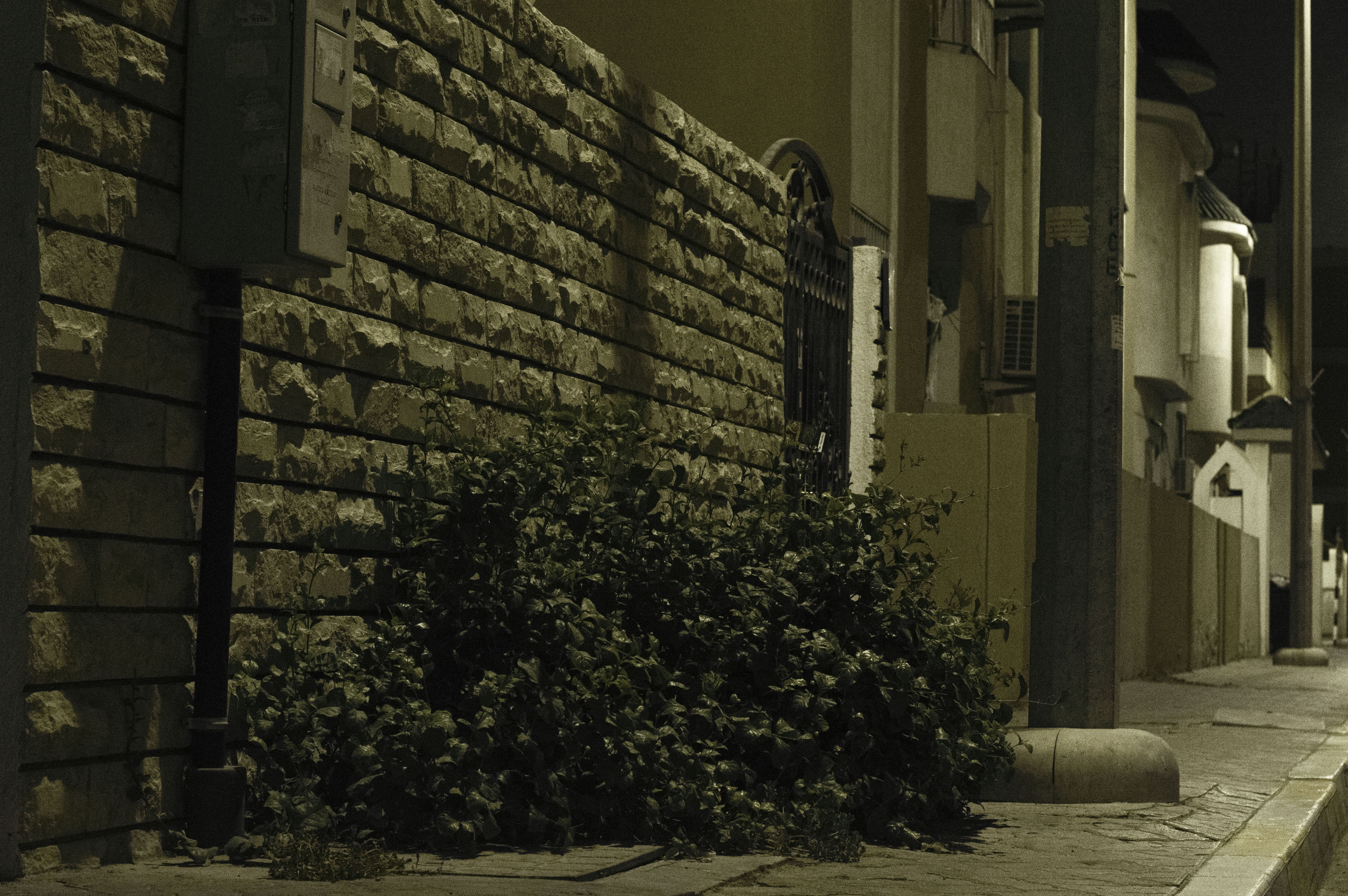 side, road, tree, built structure, architecture, building exterior