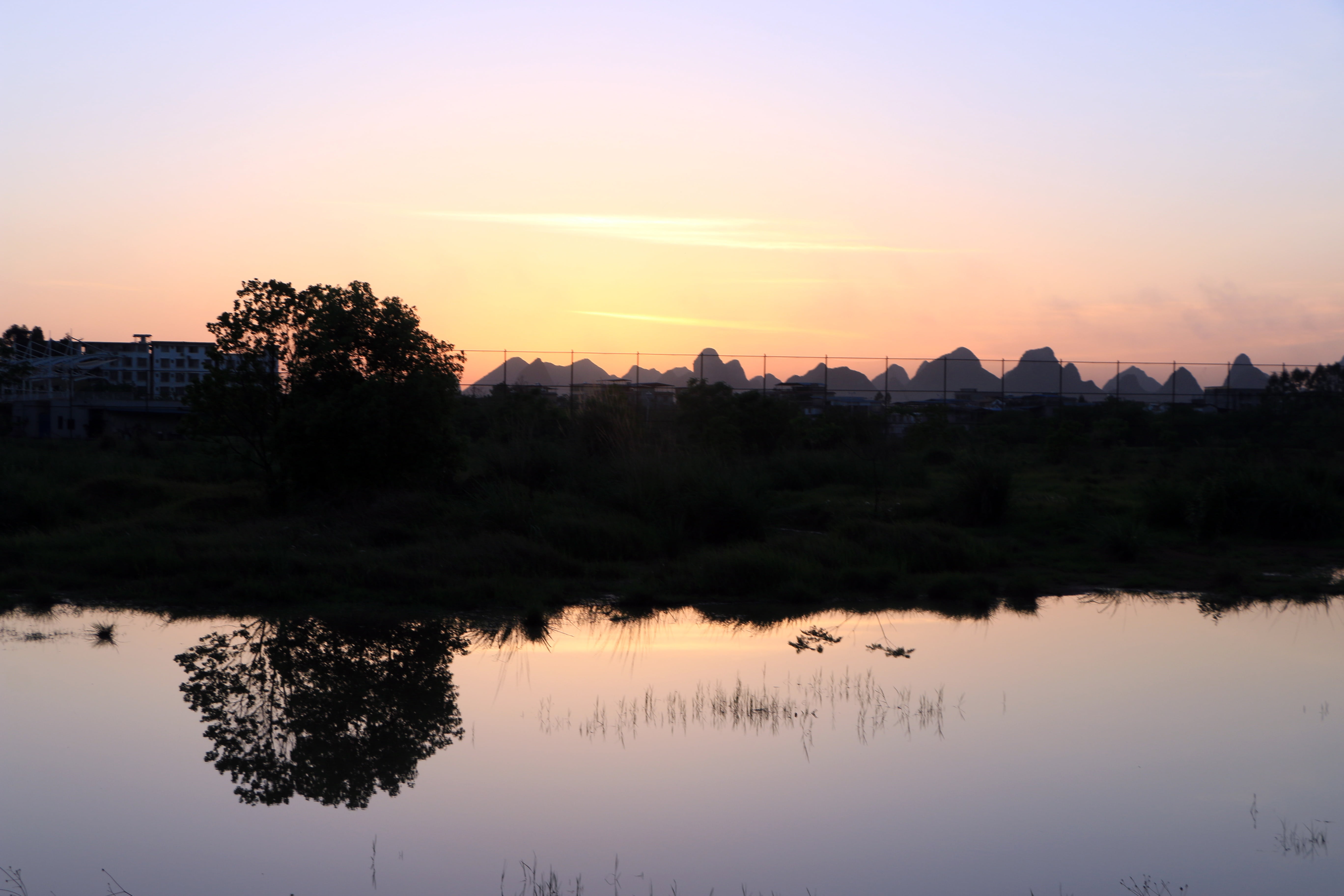 sunset, twilight, reflection, water, sky, tree, lake, tranquility