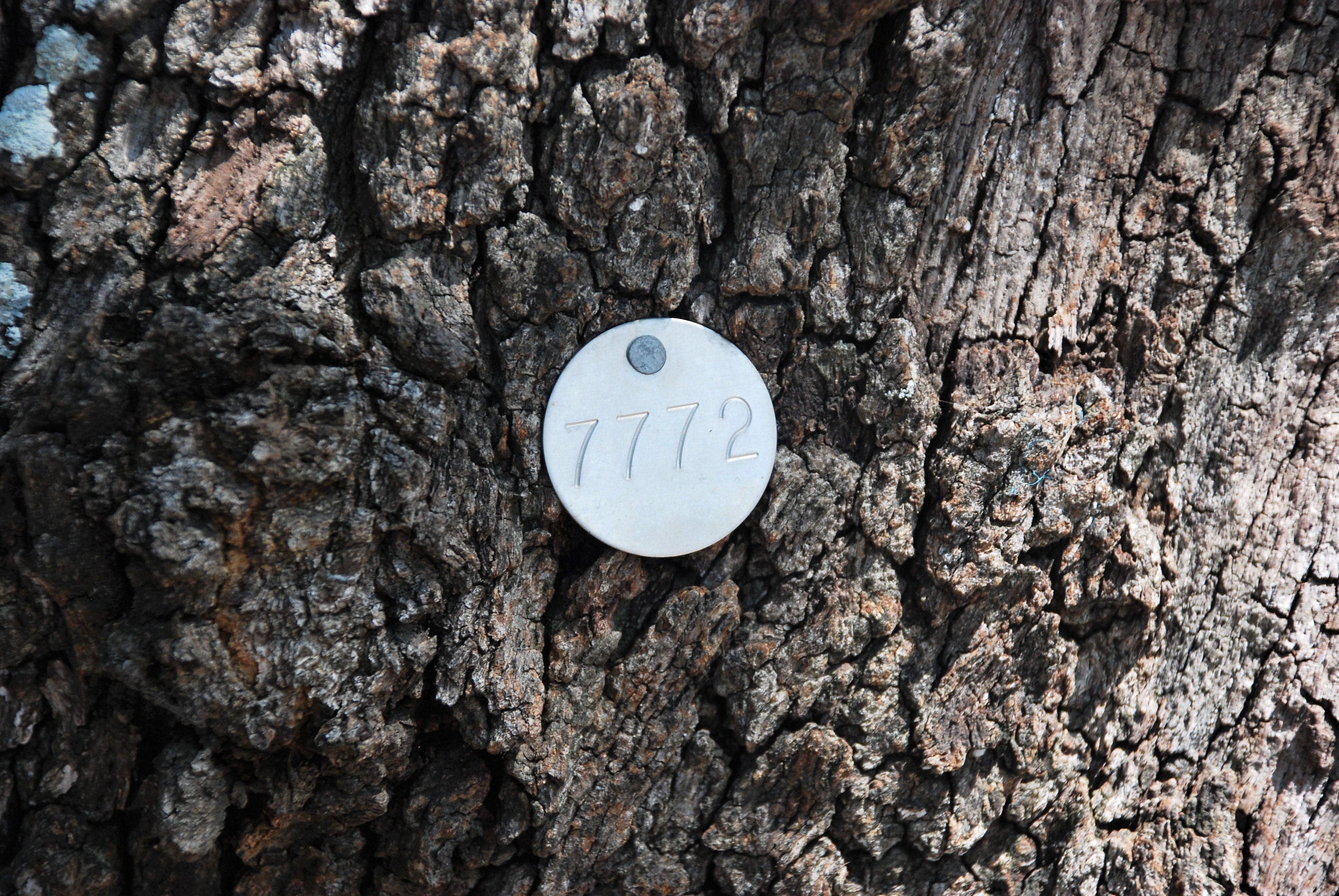 tree identification tags, tree tags, code, metal, circle, marking