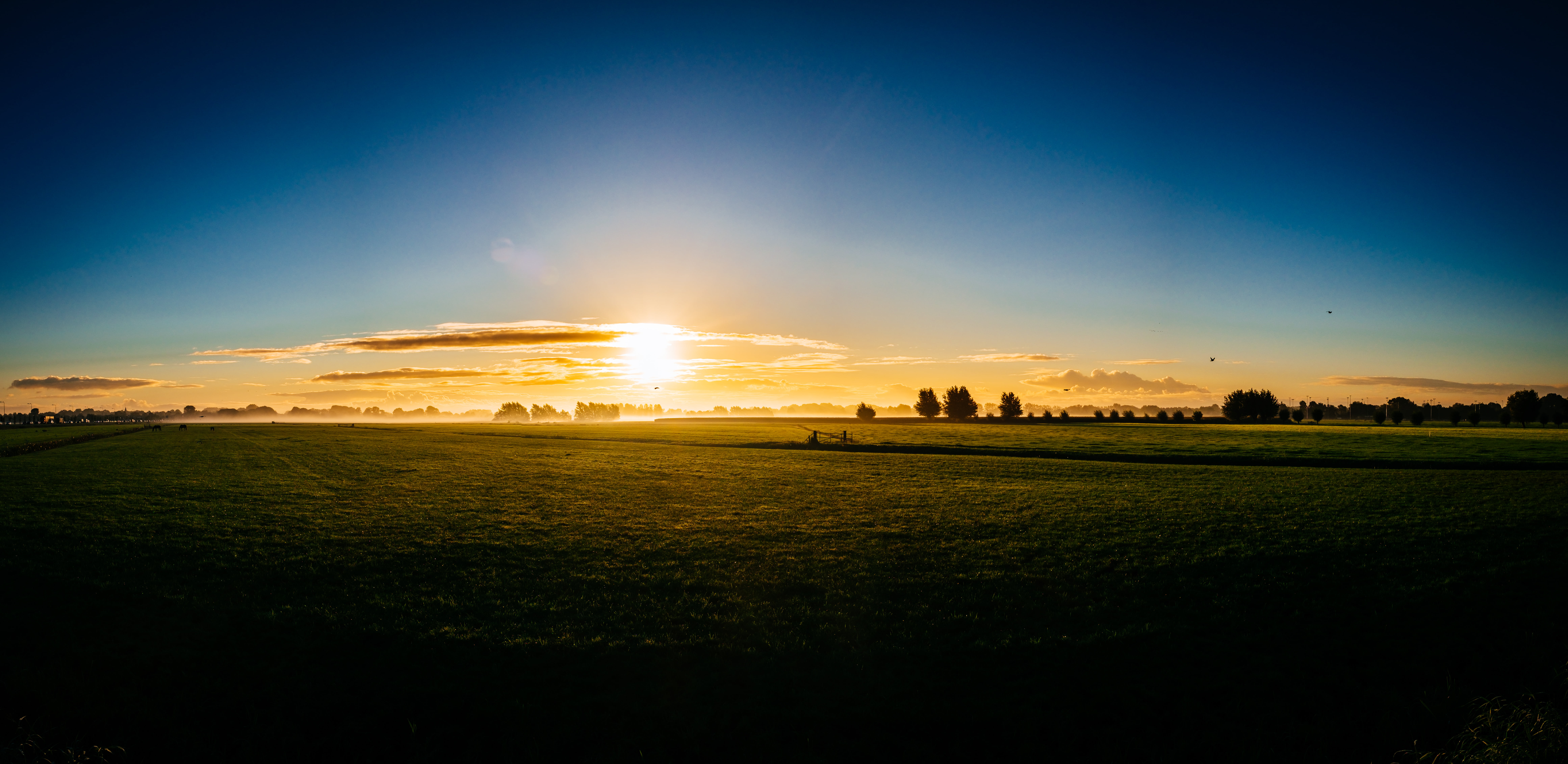 blue sky, clouds, grass, sunrise, sunset, trees, environment