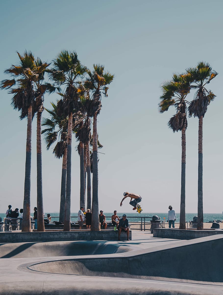 photo of man skateboarding on ramp, person playing skateboard in park, HD wallpaper