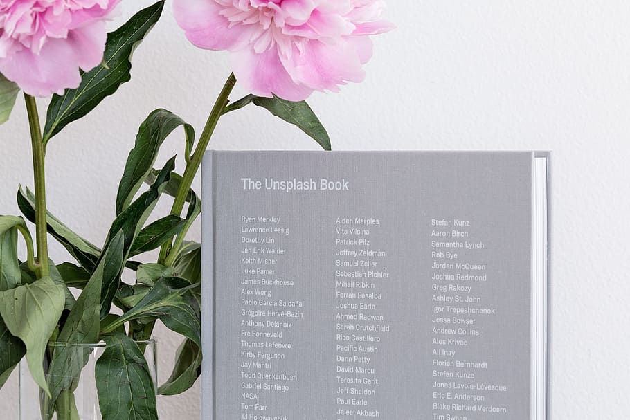unsplash, book, list, flower, pink, petal, glass, plant, flowering plant HD wallpaper