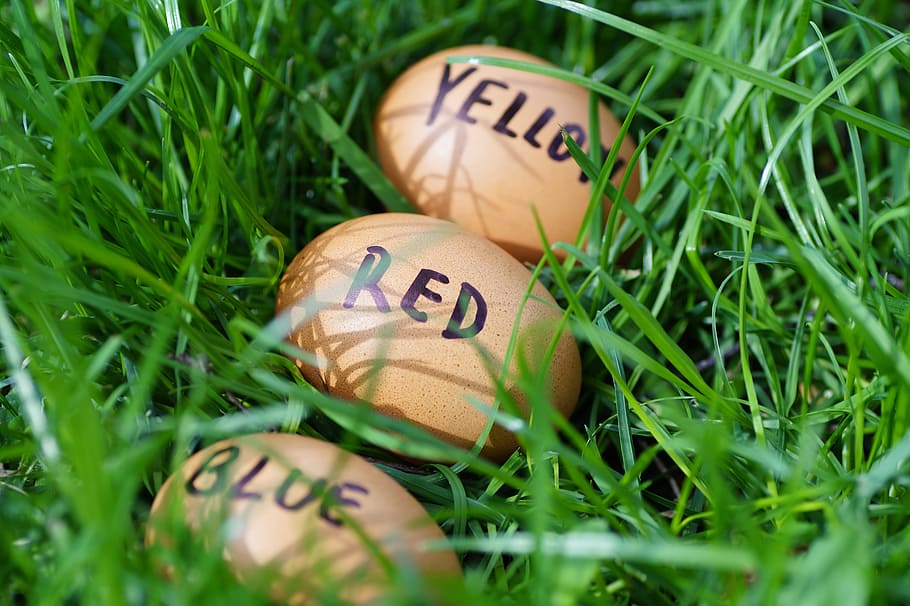 Easter, Eggs, Easter Eggs, joke, color eggs, easter time, spring HD wallpaper